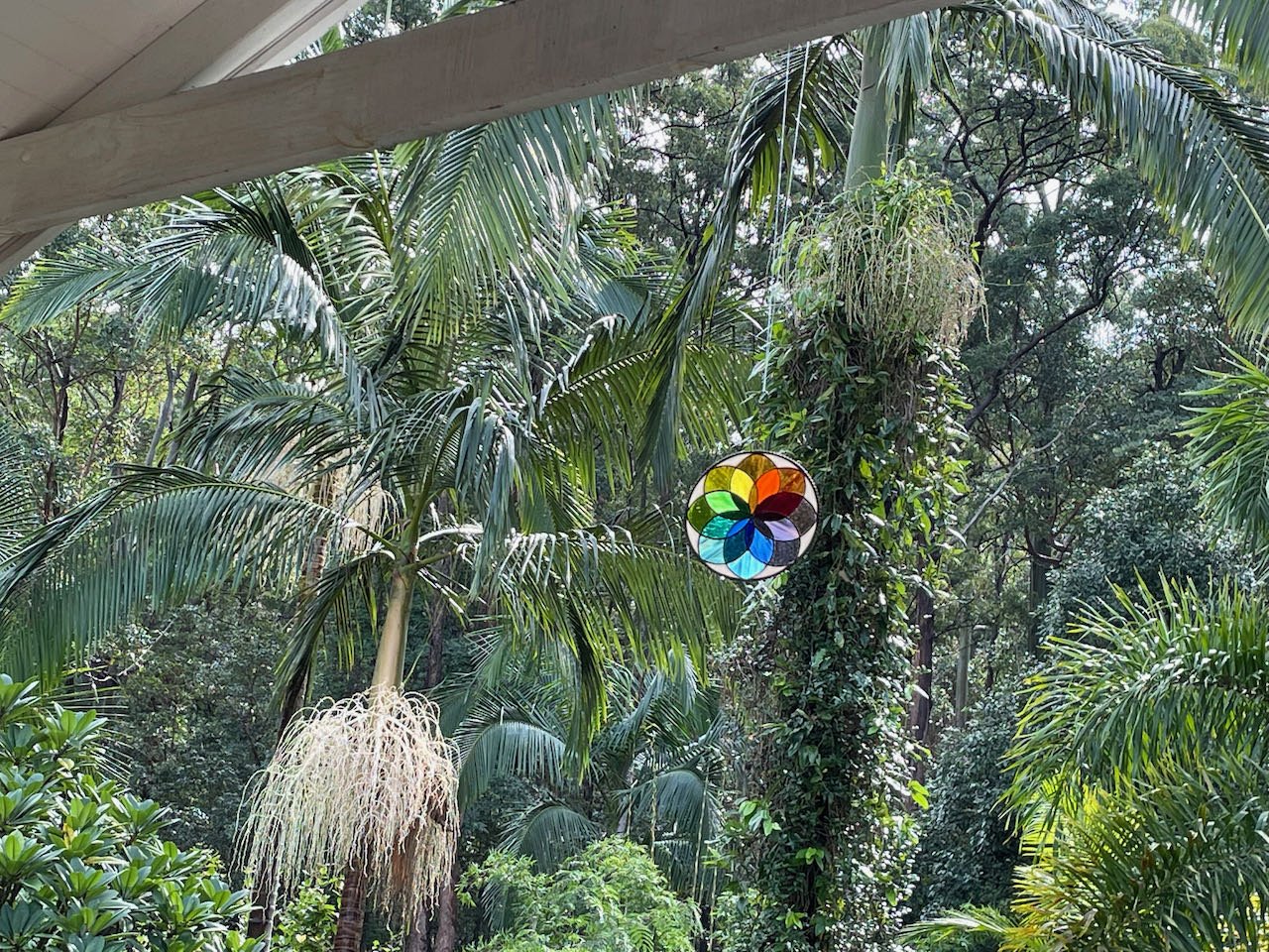 Bush and Rainforest