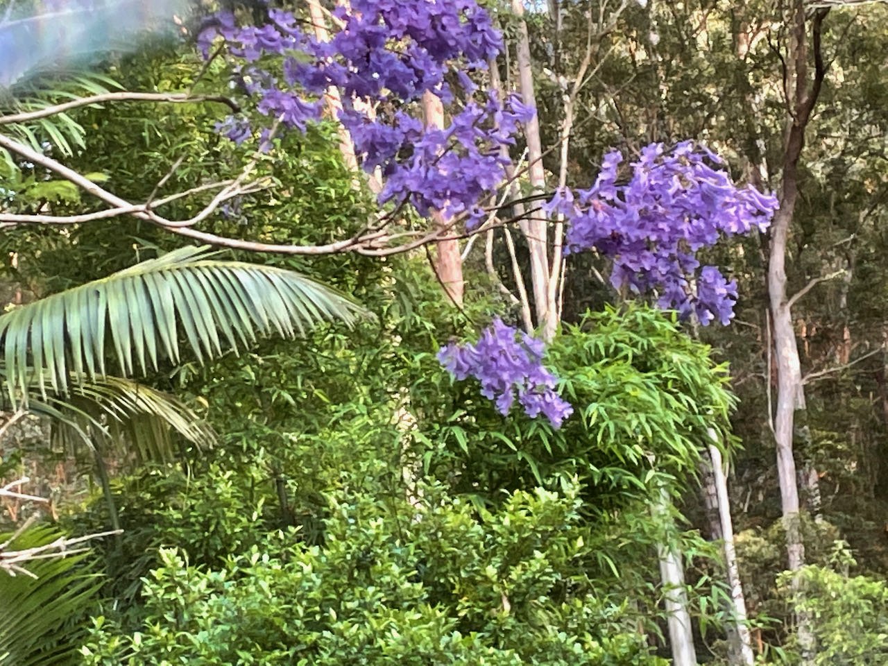 IMG_2574.jpeg