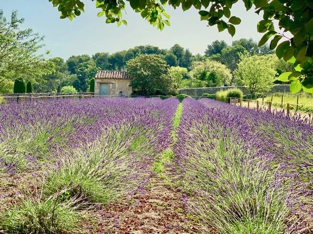 Provence, France