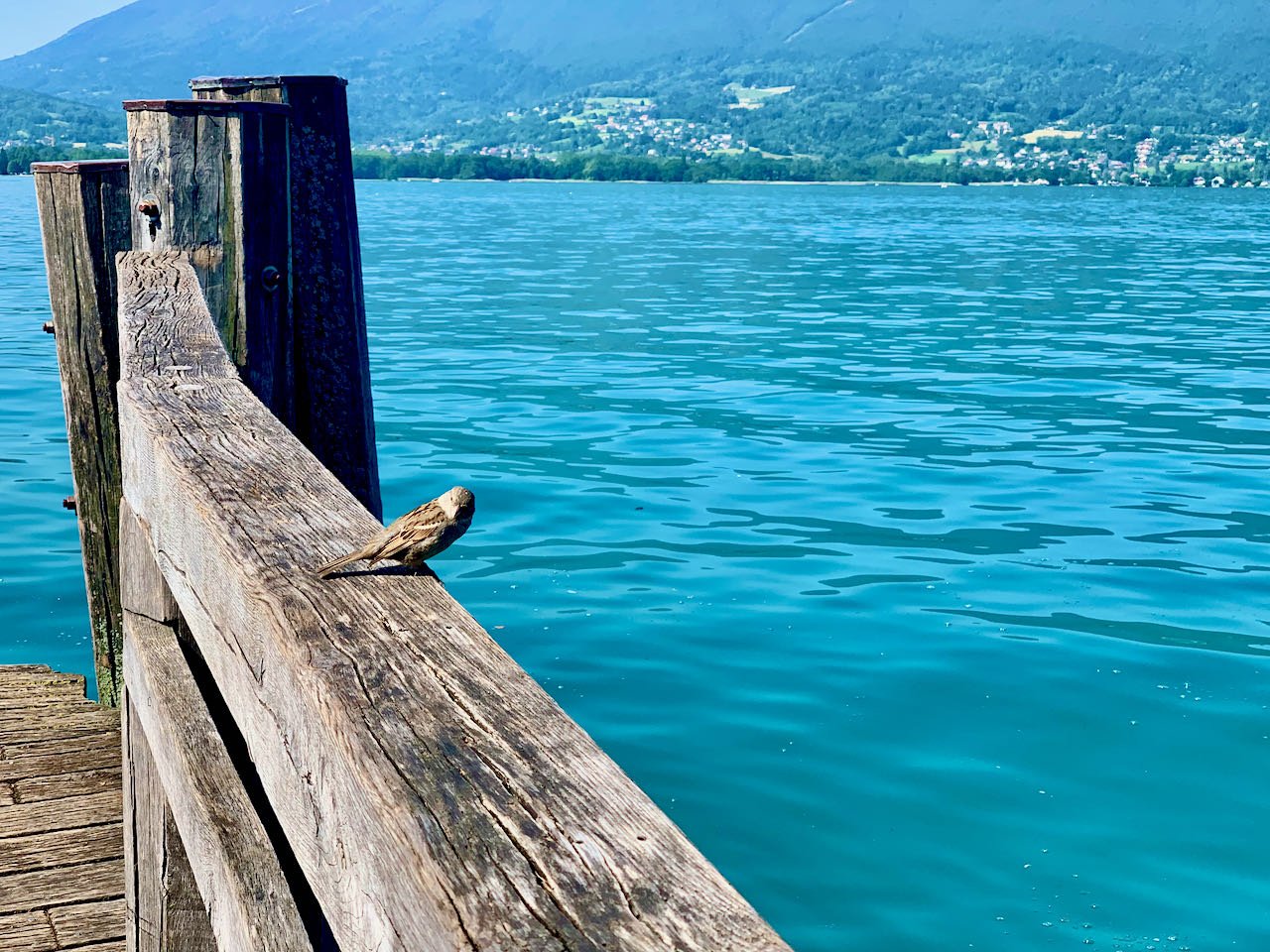 European Lakes and Alps