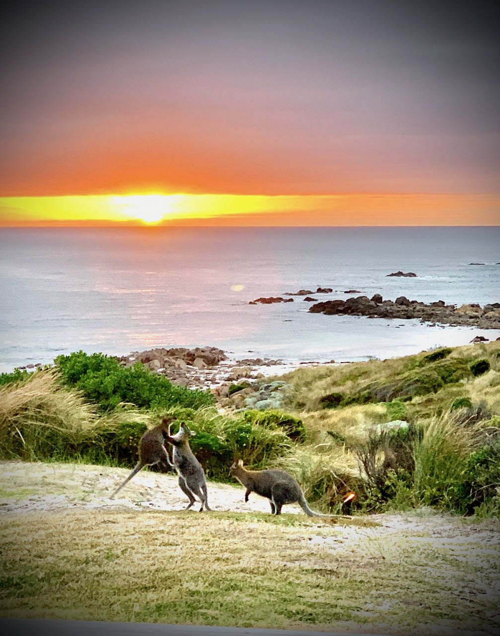 King Island
