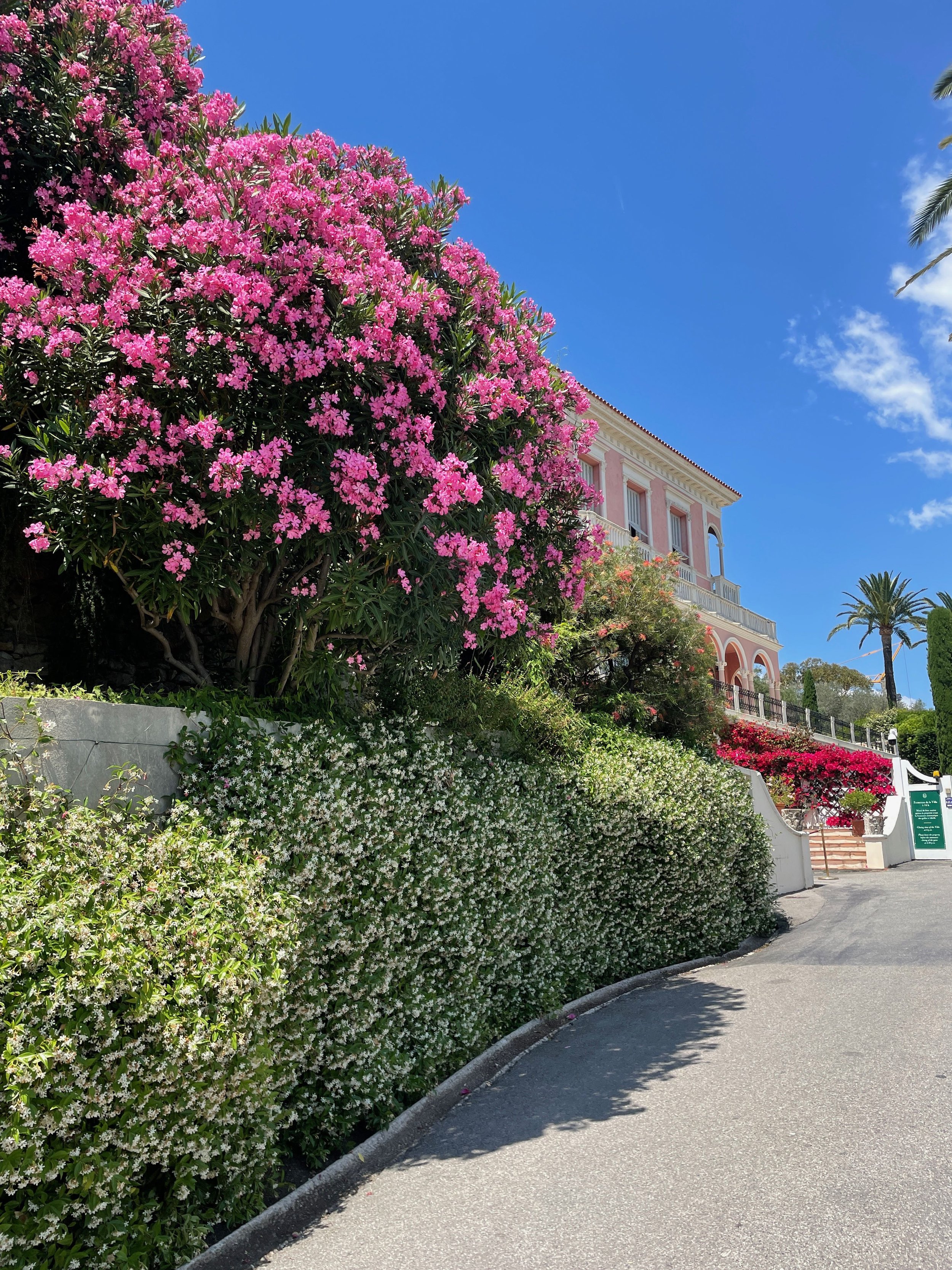 Australian Artist in France - Villa and Jardins EPHRUSSI DE ROTHSCHILD