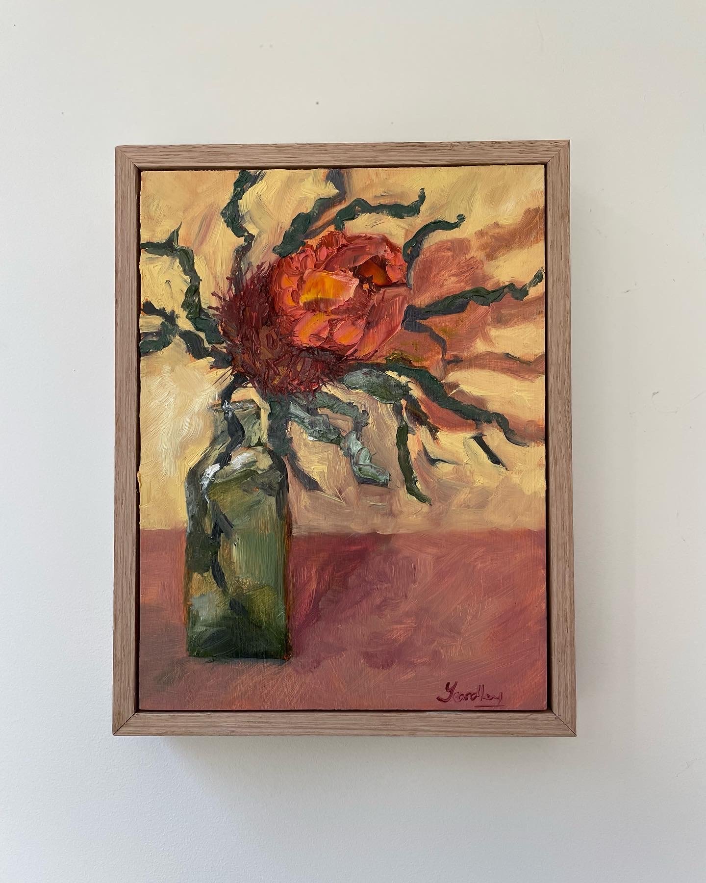 Wild Protea | Contemporary Austraian Art | Shannon Yeardley | Oil Painting Interior Art