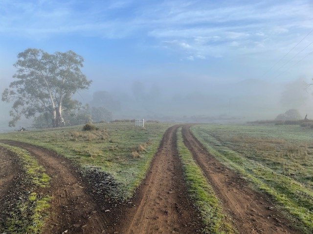Spring 2022 and Tasmanian Country