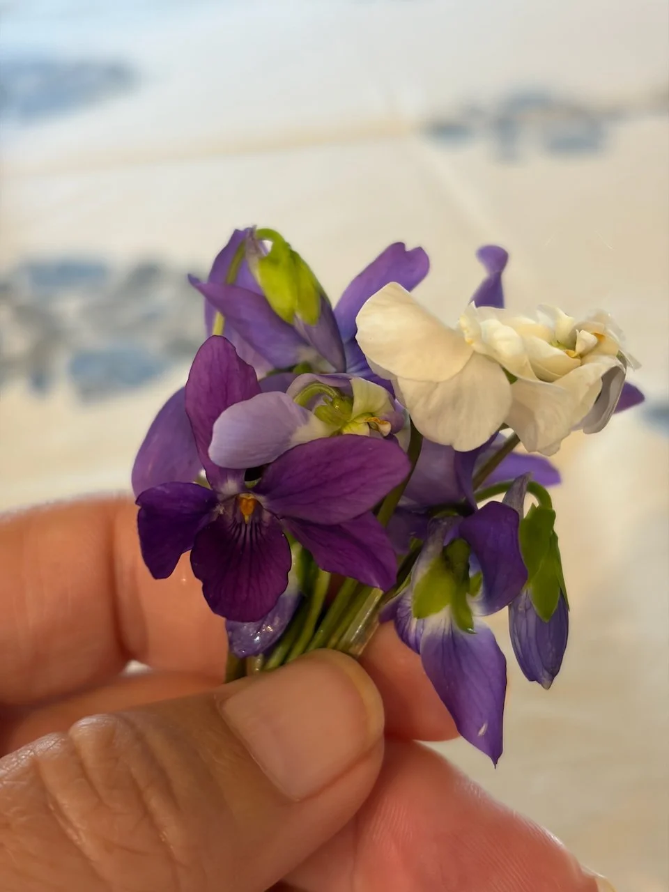 IMG_9845.jpeg