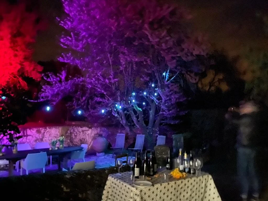 9d967742-ec29-41c8-86d9-72c7566c04da (1).JPG