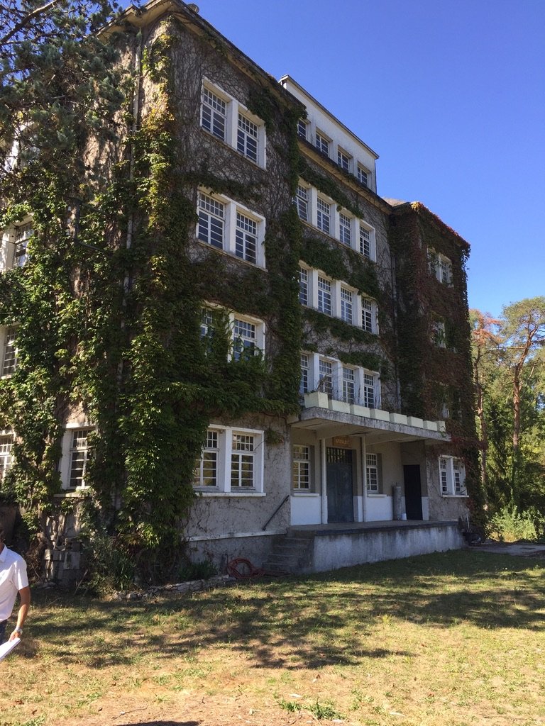 0DFDAC2D-58C7-457C-9D32-BE051C2AD96A_1_105_c copy.jpeg