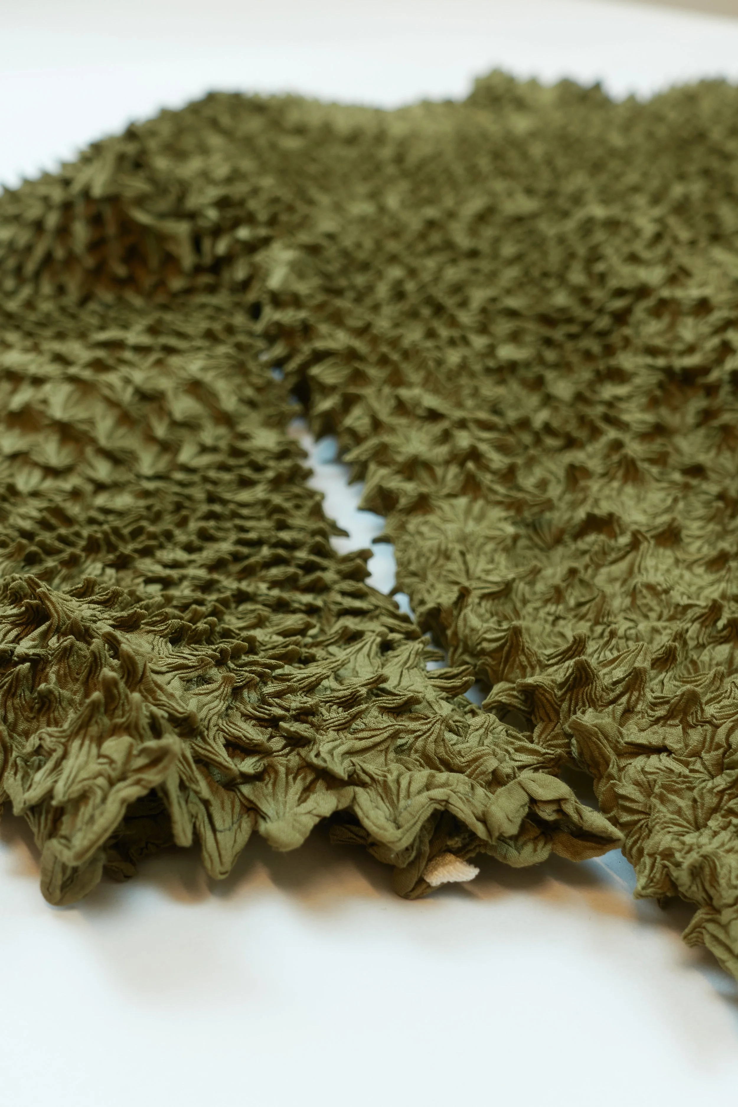 ISSEY MIYAKE pointed mollusc mockneck  368.jpg