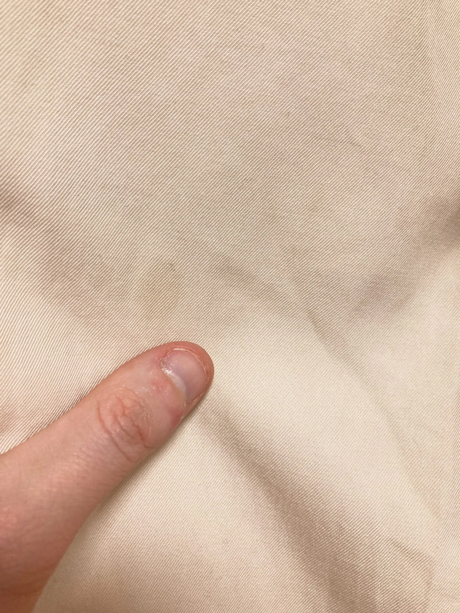 JVH_Yohji Yamamoto Costume D'Homme beige cotton pleated trousers_07.jpg