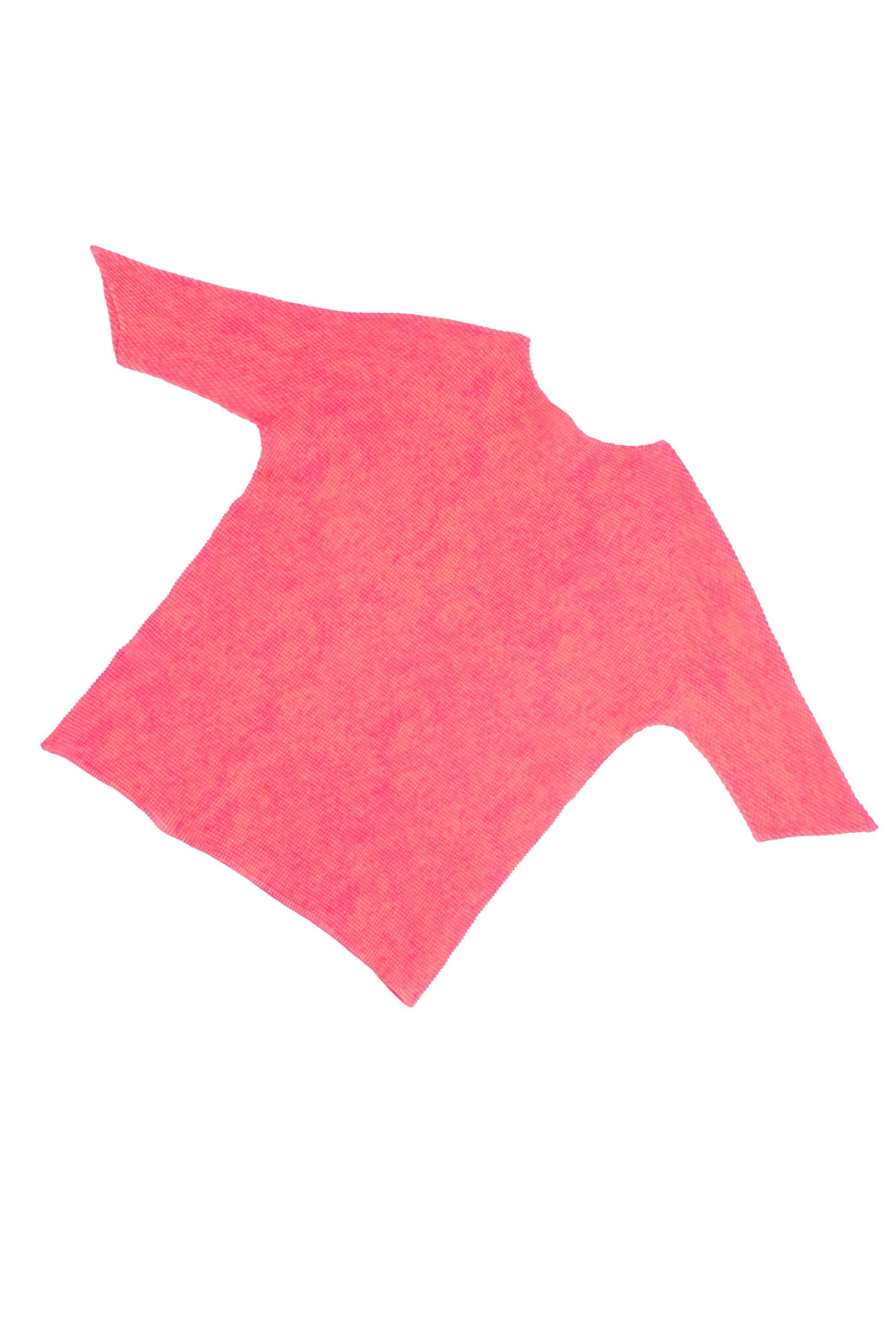 Issey Miyake (T.) Pleats crinkle pleat short sleeve top 220902 2.jpg