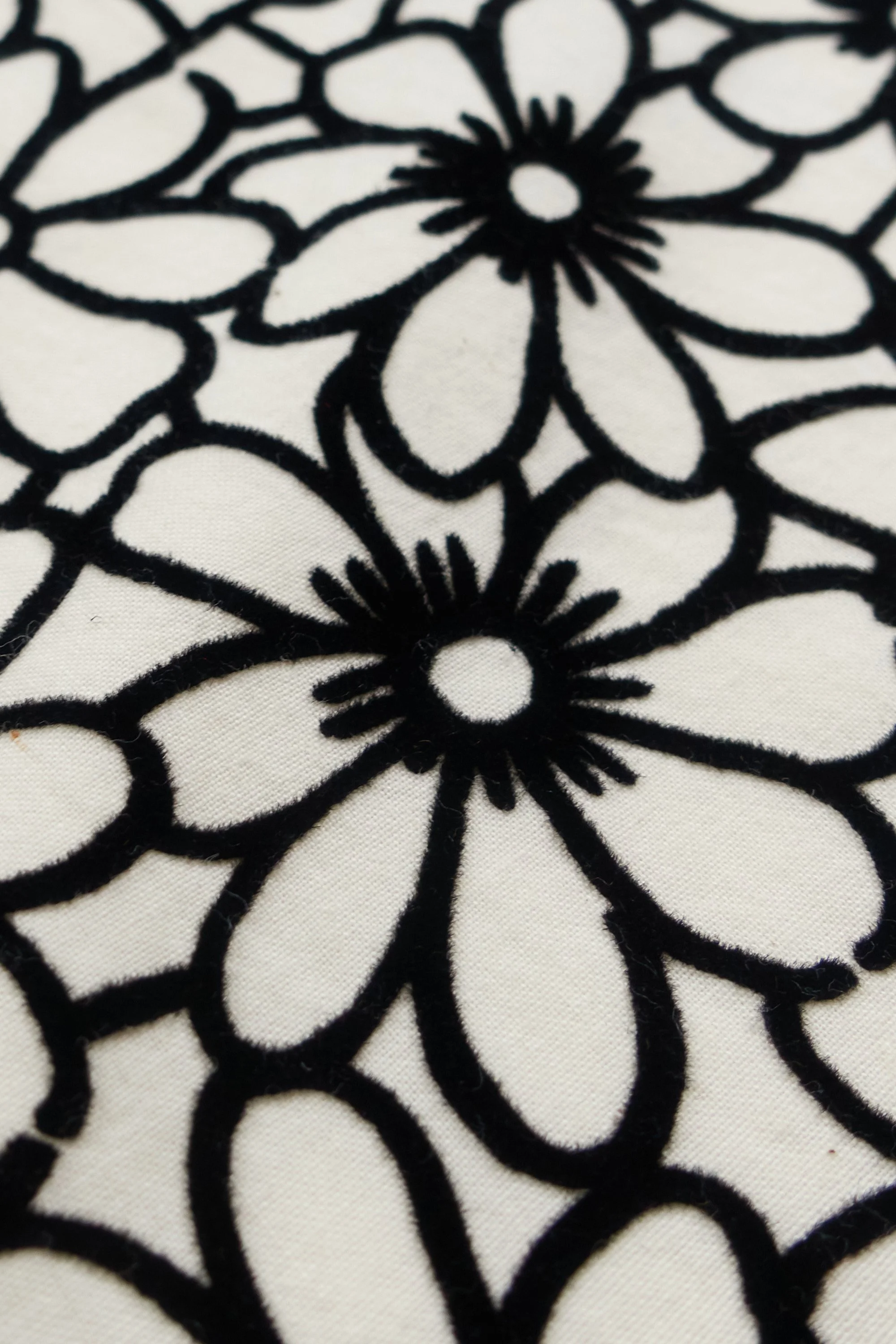 230202 230203 DSC01133.jpg