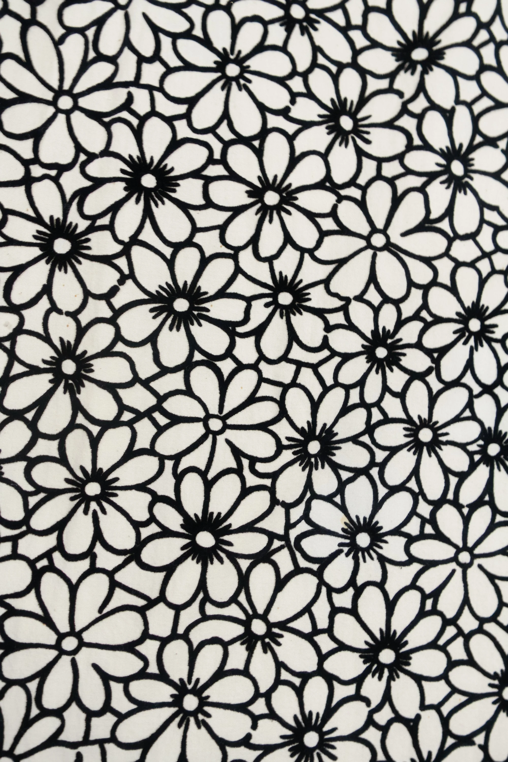 230202 230203 DSC01132.jpg