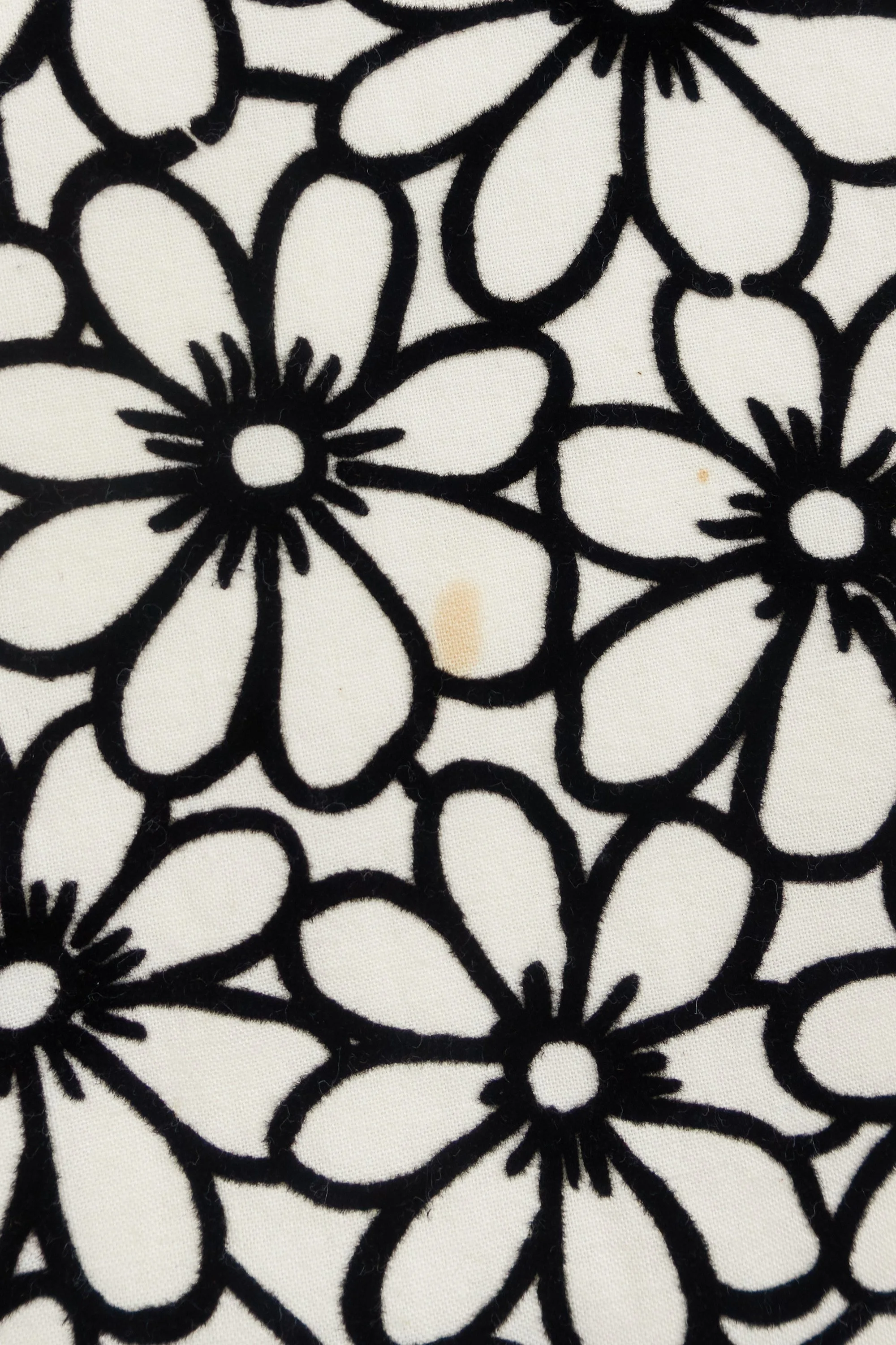 230202 230203 DSC01134.jpg