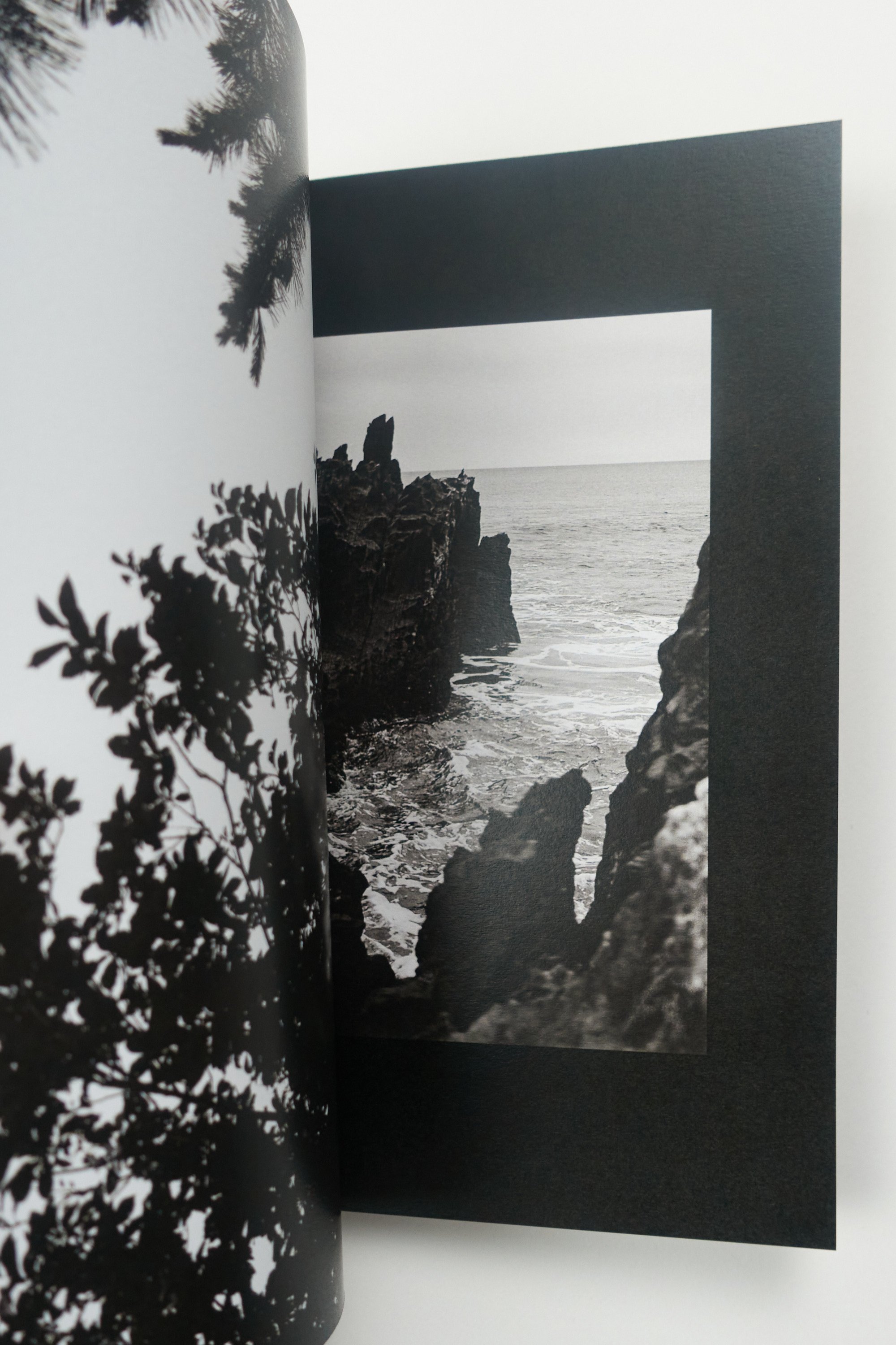 230302 230303 DSC01577.jpg