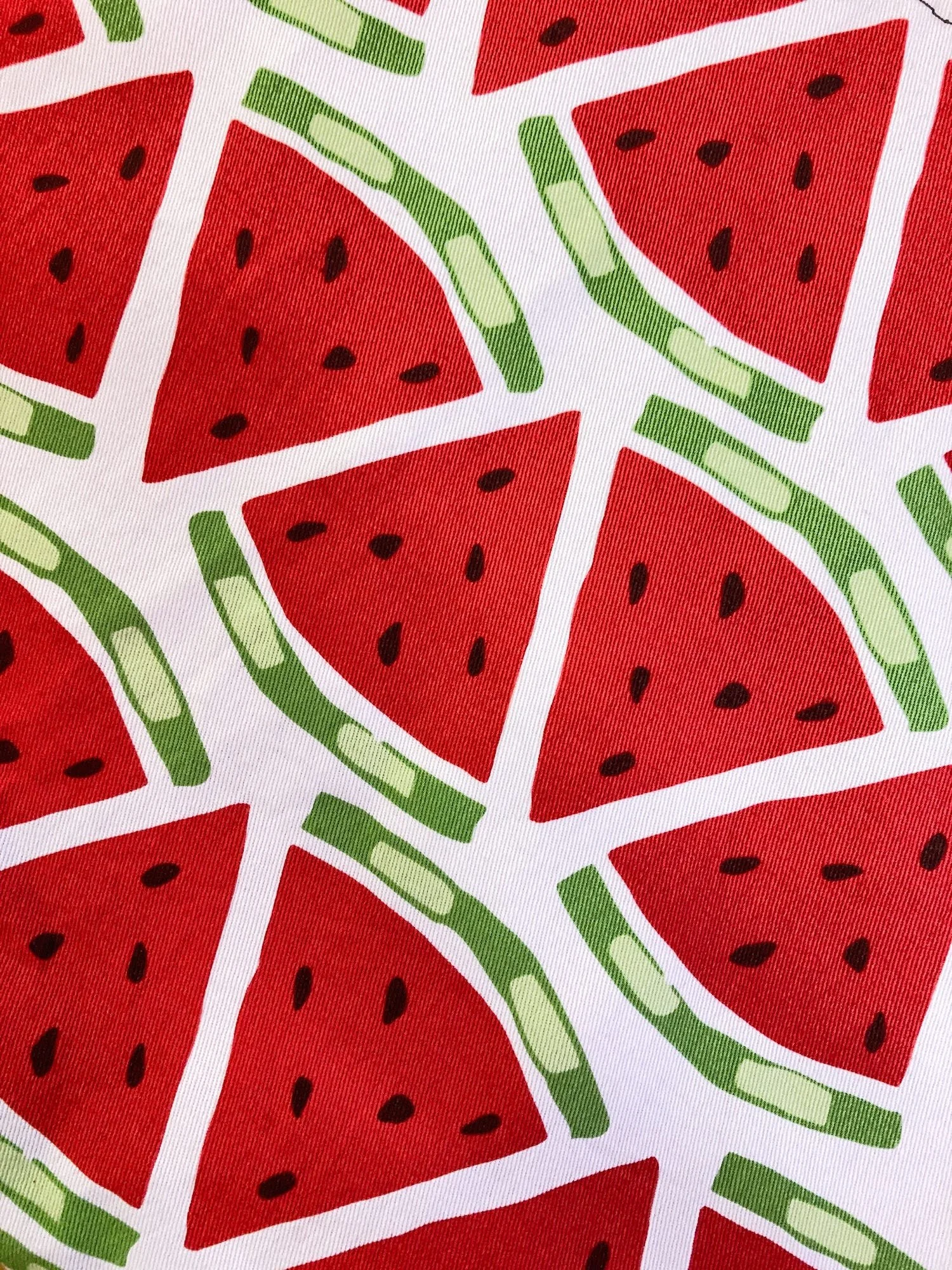 AFS_make friends with salad cycling satchel_26.jpg