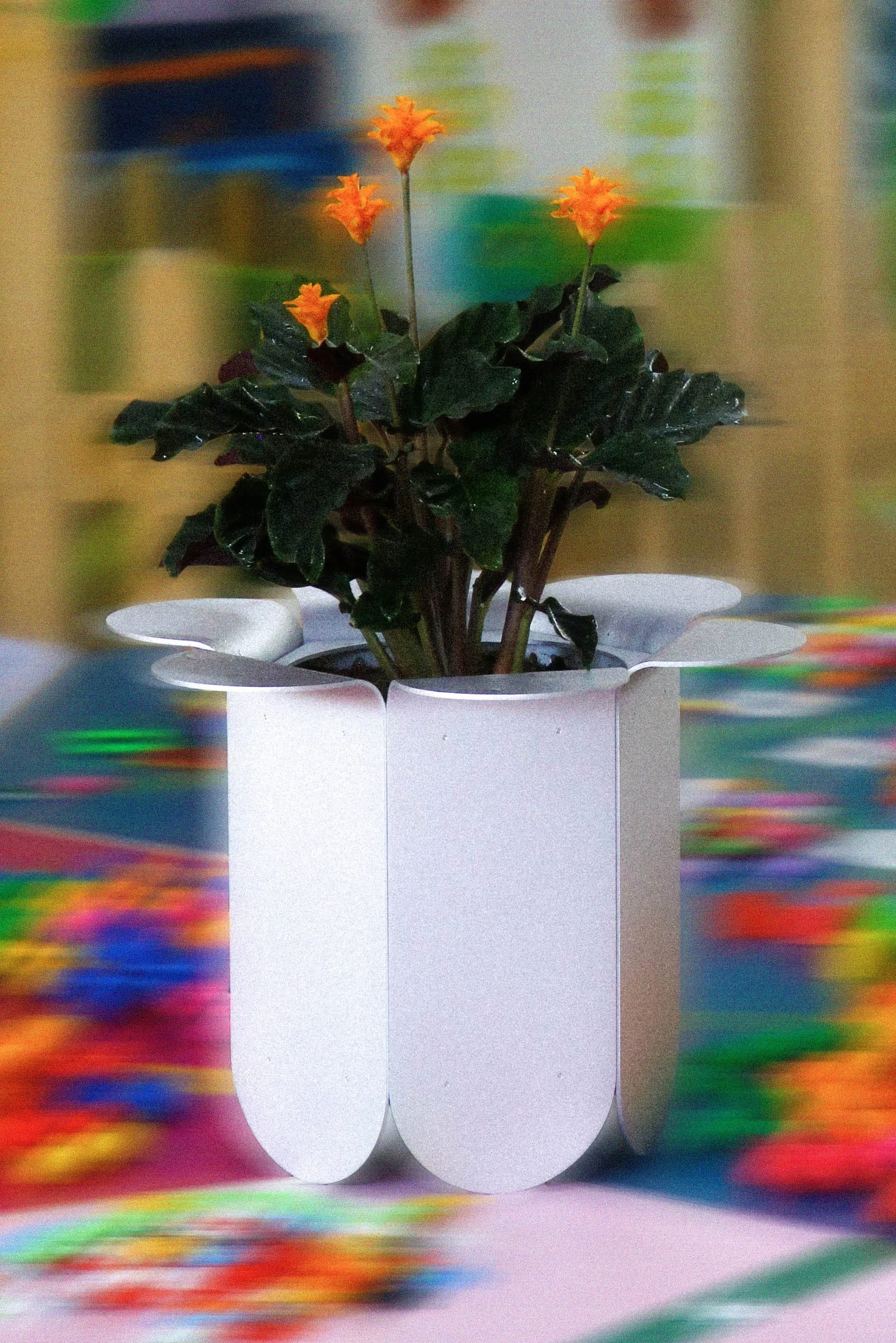 AFS_platten haus_large omni pot_12.jpg