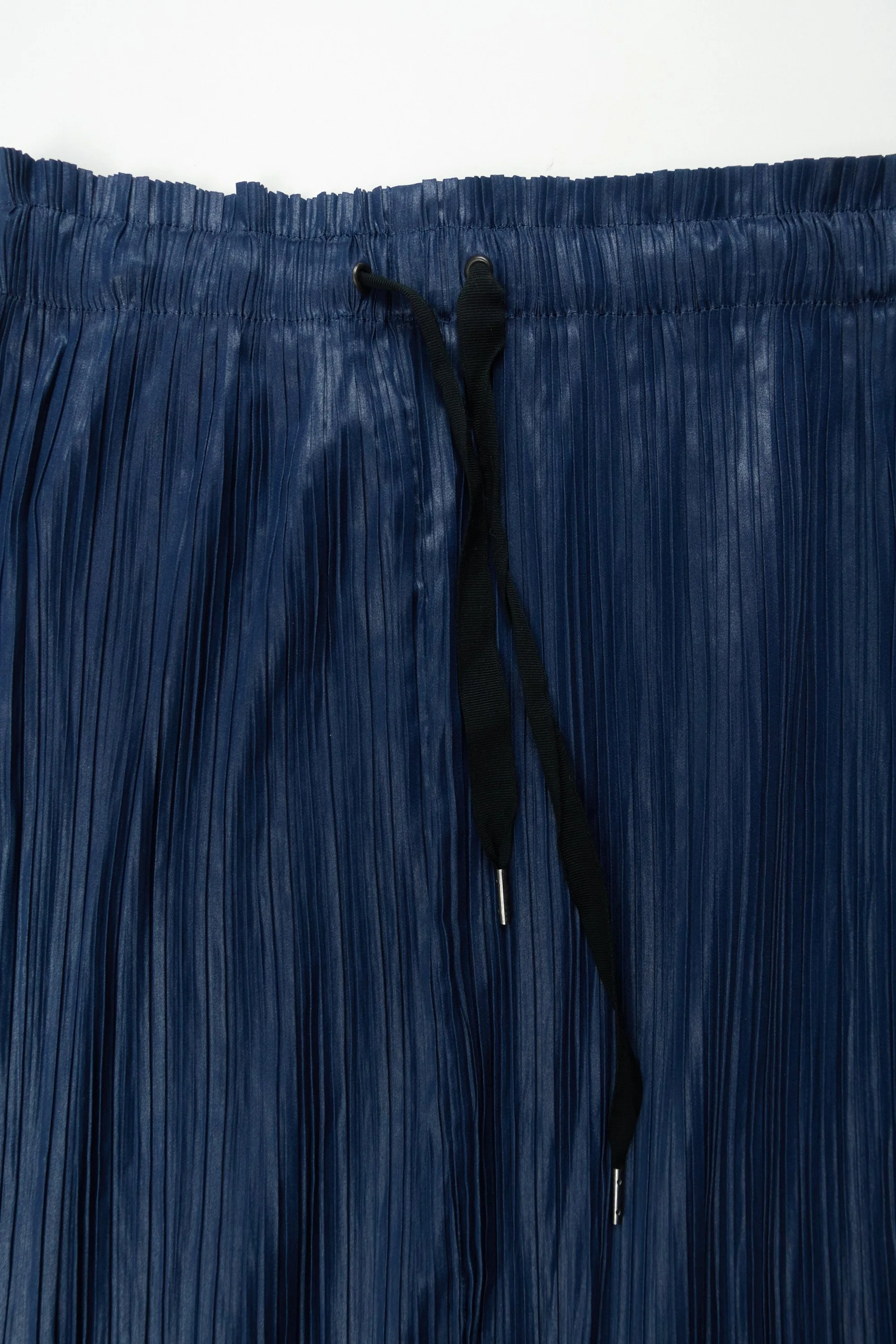 230414 2238 Edwina Horl pleated skirt.jpg