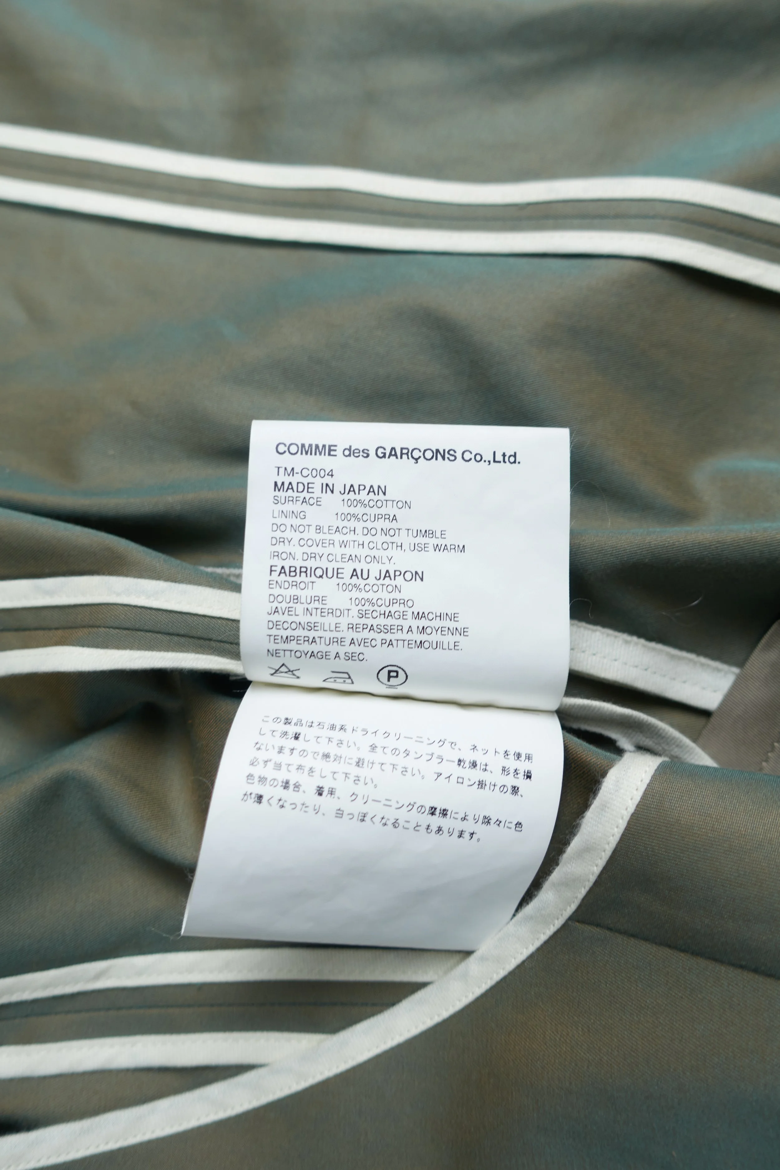 230727 TCDG iridescent coat 2003 0113.jpg