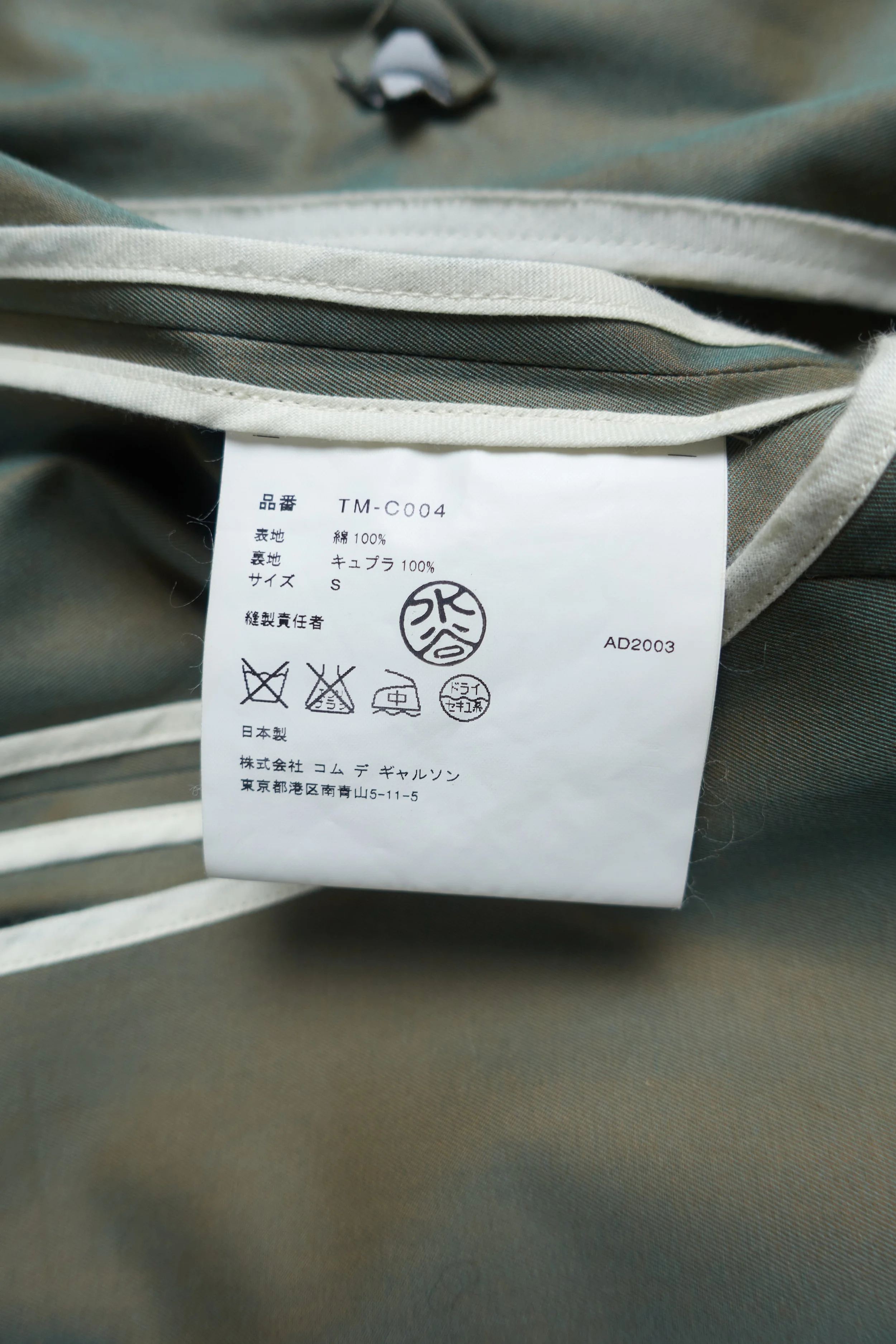 230727 TCDG iridescent coat 2003 0112.jpg