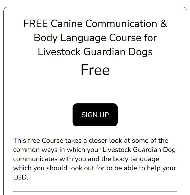 Advertisement for a free canine communication and body language course for livestock guardian dogs with a 'Sign Up' button.