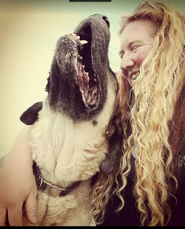 A woman with long curly blonde hair smiling and a large dog with its mouth open, appearing to be laughing and sharing a joyful moment.