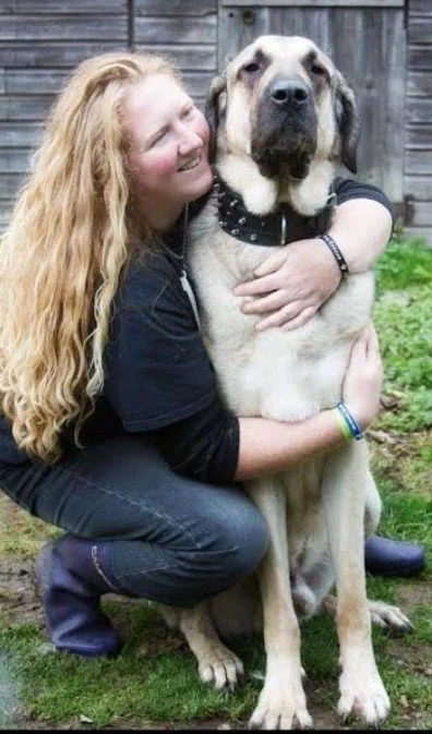 A woman with long curly blonde hair hugging a large dog, possibly a Mastiff, outside near a wooden fence.