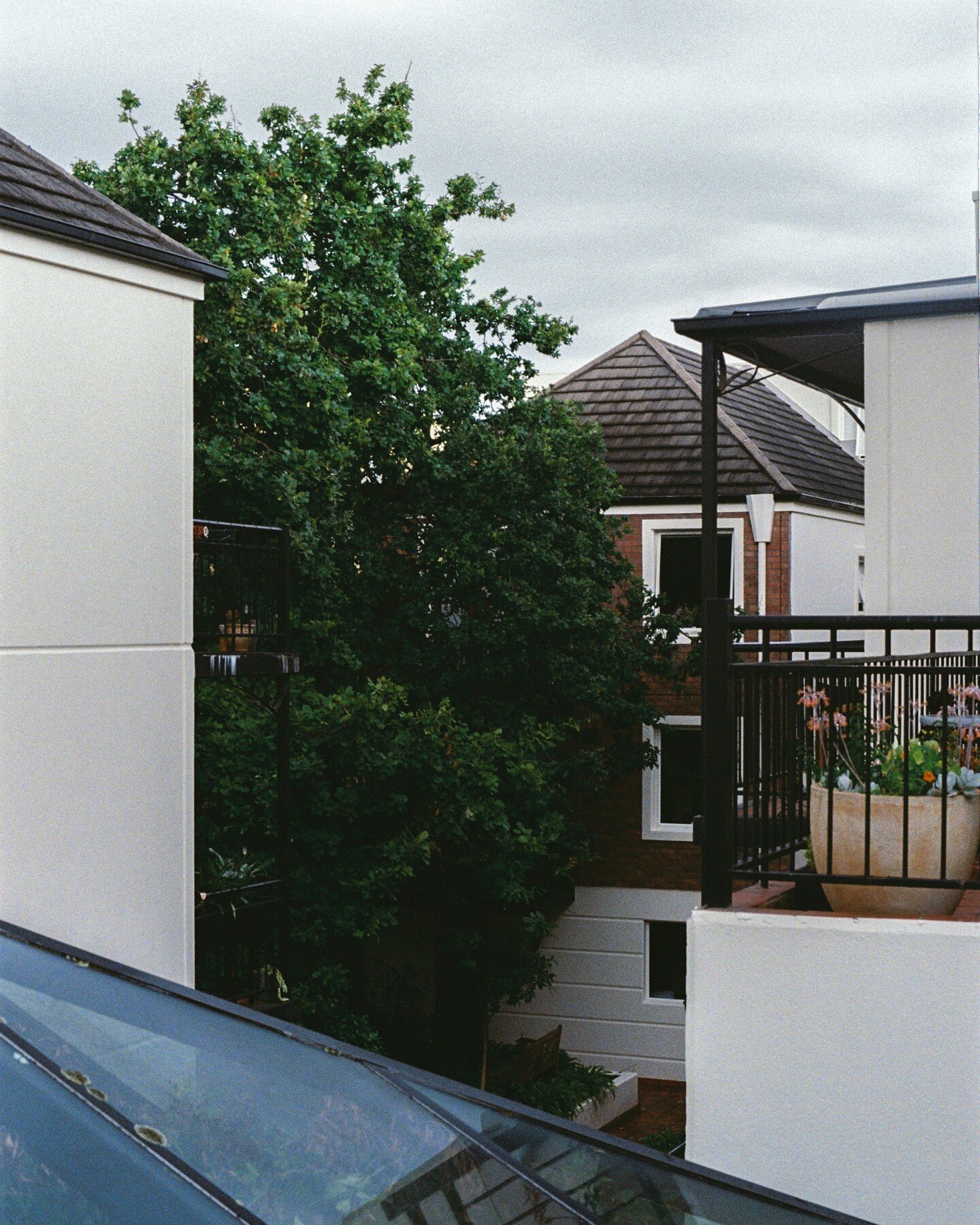 A beautiful set of townhouses near Royal Park Golf Course. The browns in the brick and tiles complement the greenery sublimely, and using Ultramax brought out the vibrancy very well.
📷: Minolta X-500
🔎: MD Rokkor 50mm F1.4
🎞️: Kodak Ultramax 400
&