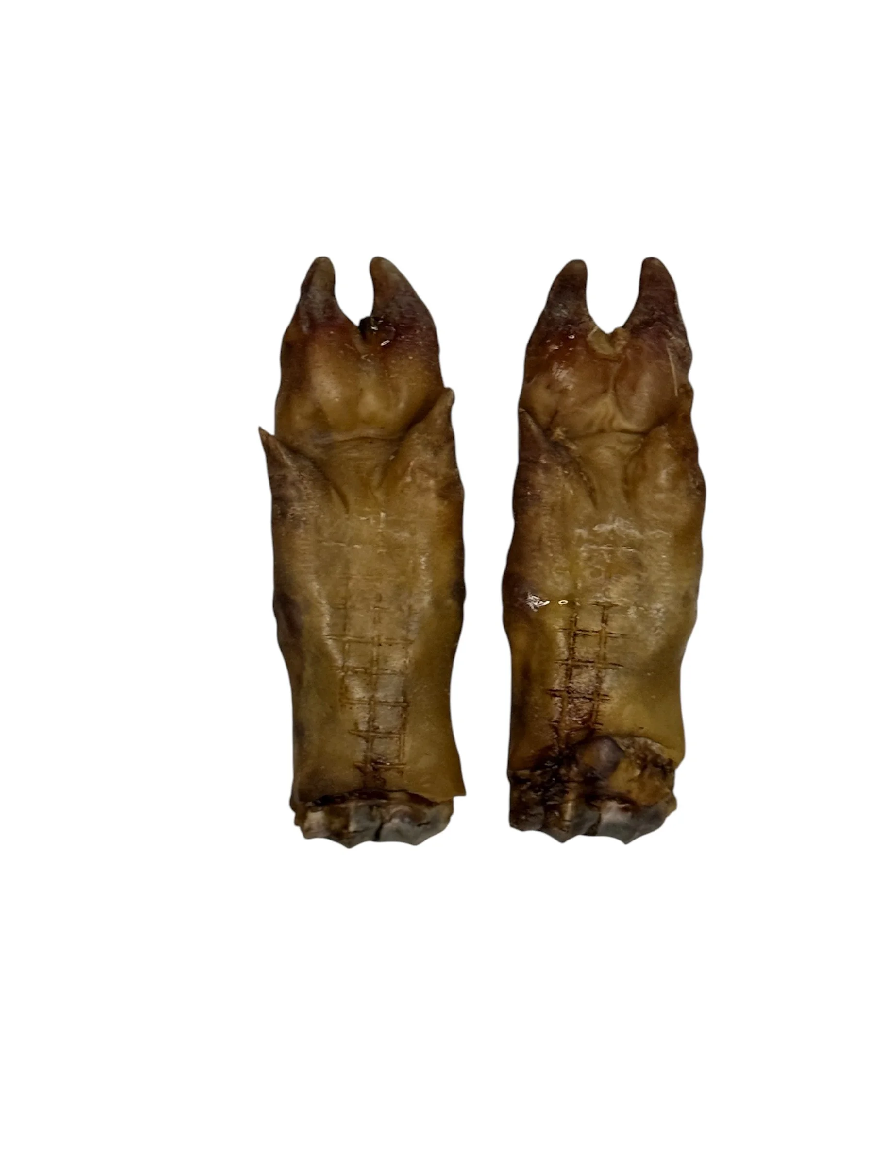 Pasture-Raised Dehydrated Pork Trotter Pet Treats for Dogs