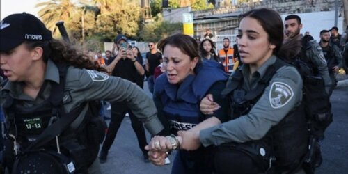 Palestine: CFWIJ Condemns The Forced Detention And Physical Assault Against Givara Budeiri