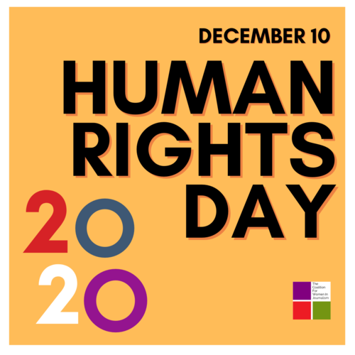 On Human Rights Day, CFWIJ Calls For Strengthened Policies To Protect Women Journalists