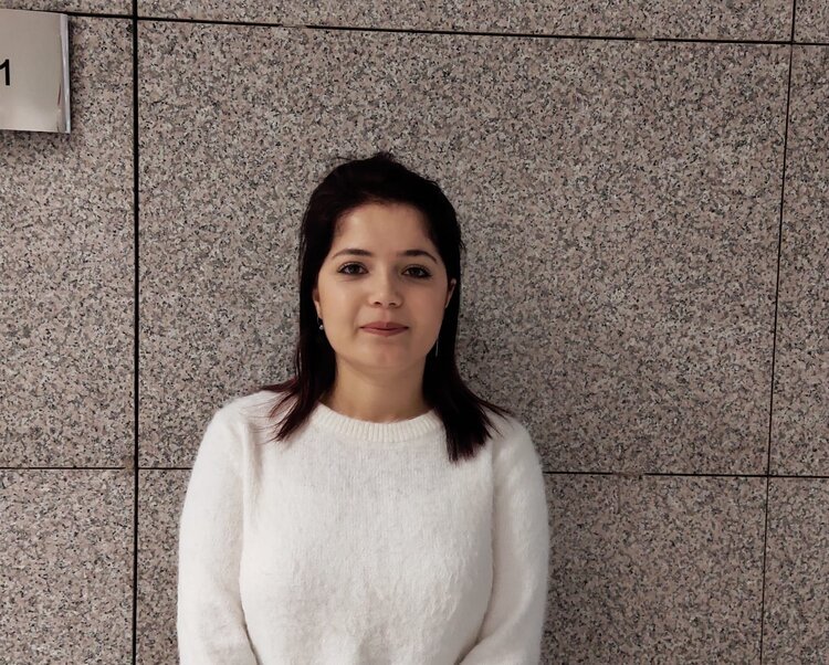 Türkiye: Gazeteci Seyhan Avşar’ın Derhal Beraatını Talep Ediyoruz