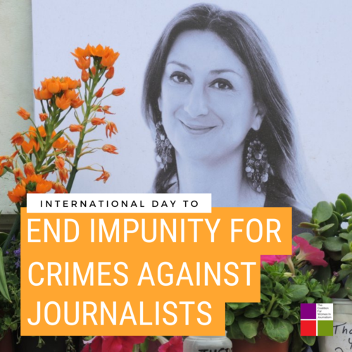 Dünya Gazetecilere Karşı İşlenen Suçlarda Cezasızlıkla Mücadele Günü'nde CFWIJ, Çevrimiçi Karalama Kampanyaları Ve Tacizle Mücadele Eden Gazetecilere Yasal Düzenlemeler Getirilmesini Talep Ediyor