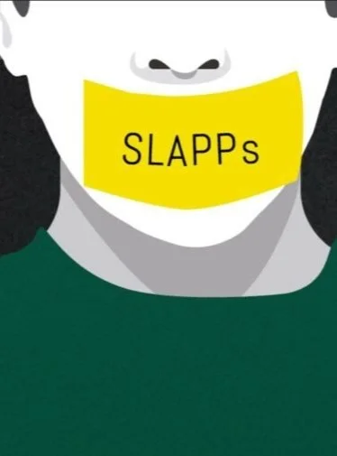 Georgia: Alarming Surge In SLAPPs Targeting Media And Journalists