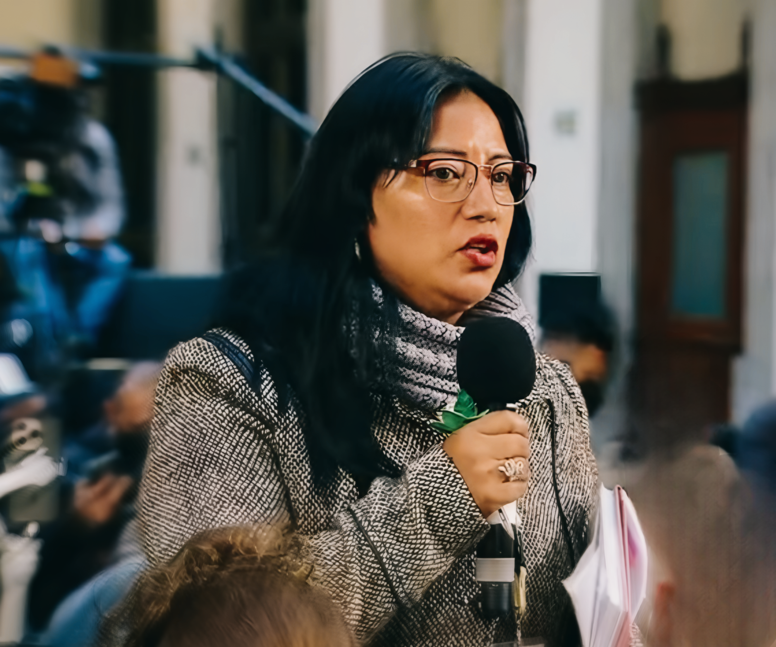 Mexico: Assassination Attempt on Journalist María Luisa Estrada Hernández