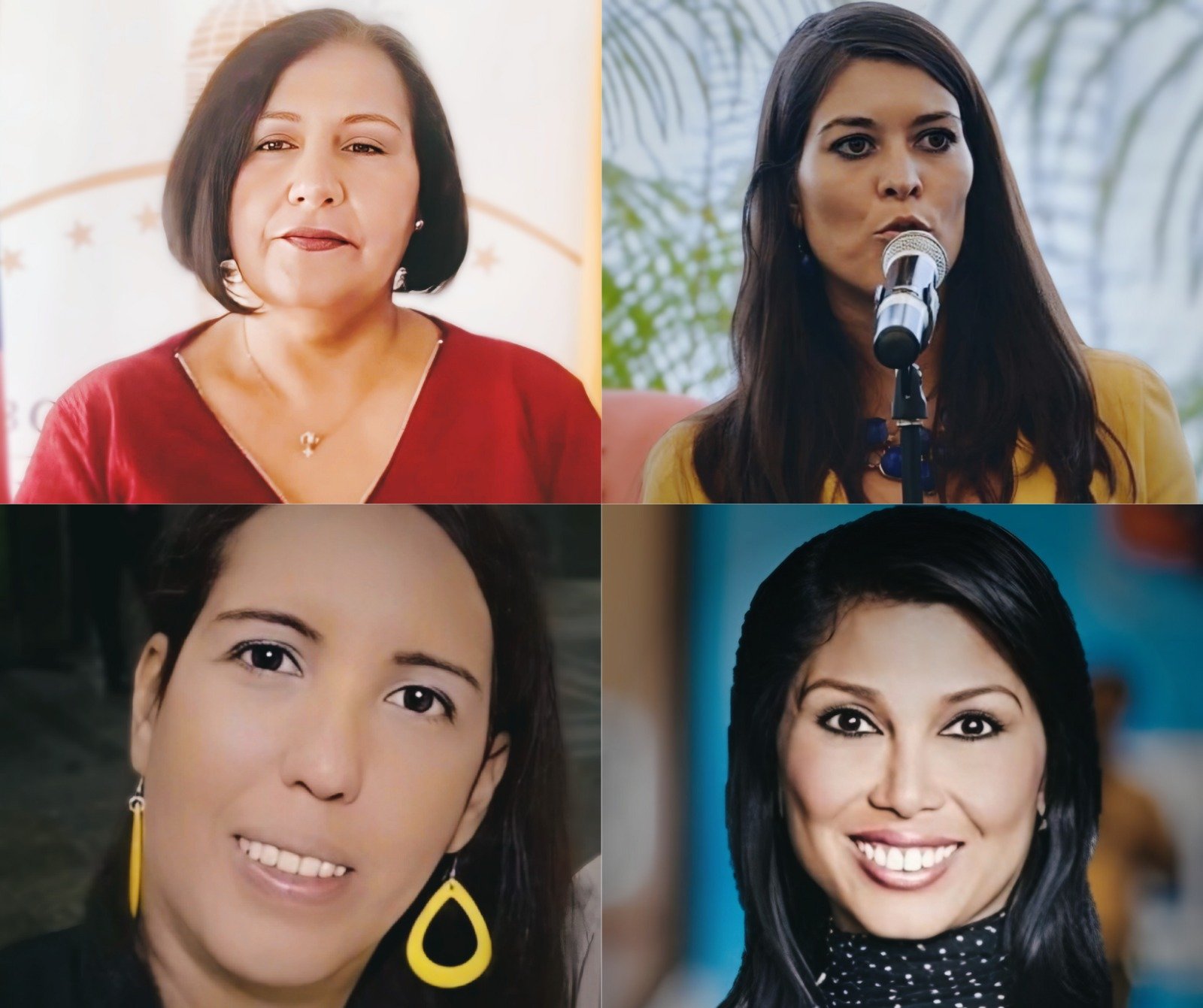 Venezuela: Former Vice President Accuses Seven Journalists of Opposition Ties