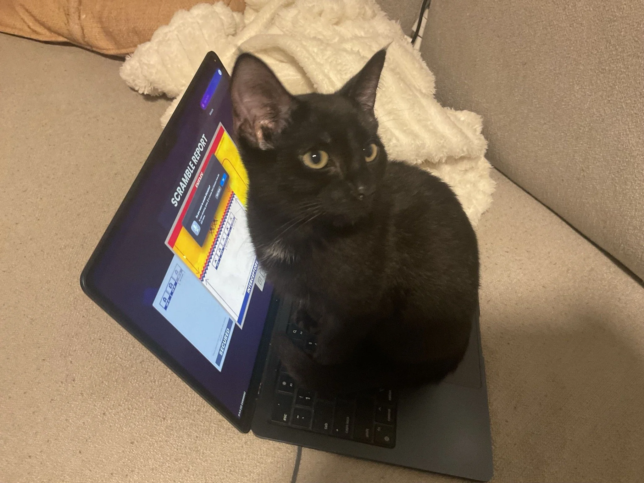 One of our community members, Jake, shared this on our Ground of Aces Discord:

&ldquo;Dude ran away from me just to sit on my laptop right next to me. This guy has some good taste.&rdquo;

We&rsquo;re happy to see that even feline players are eager 