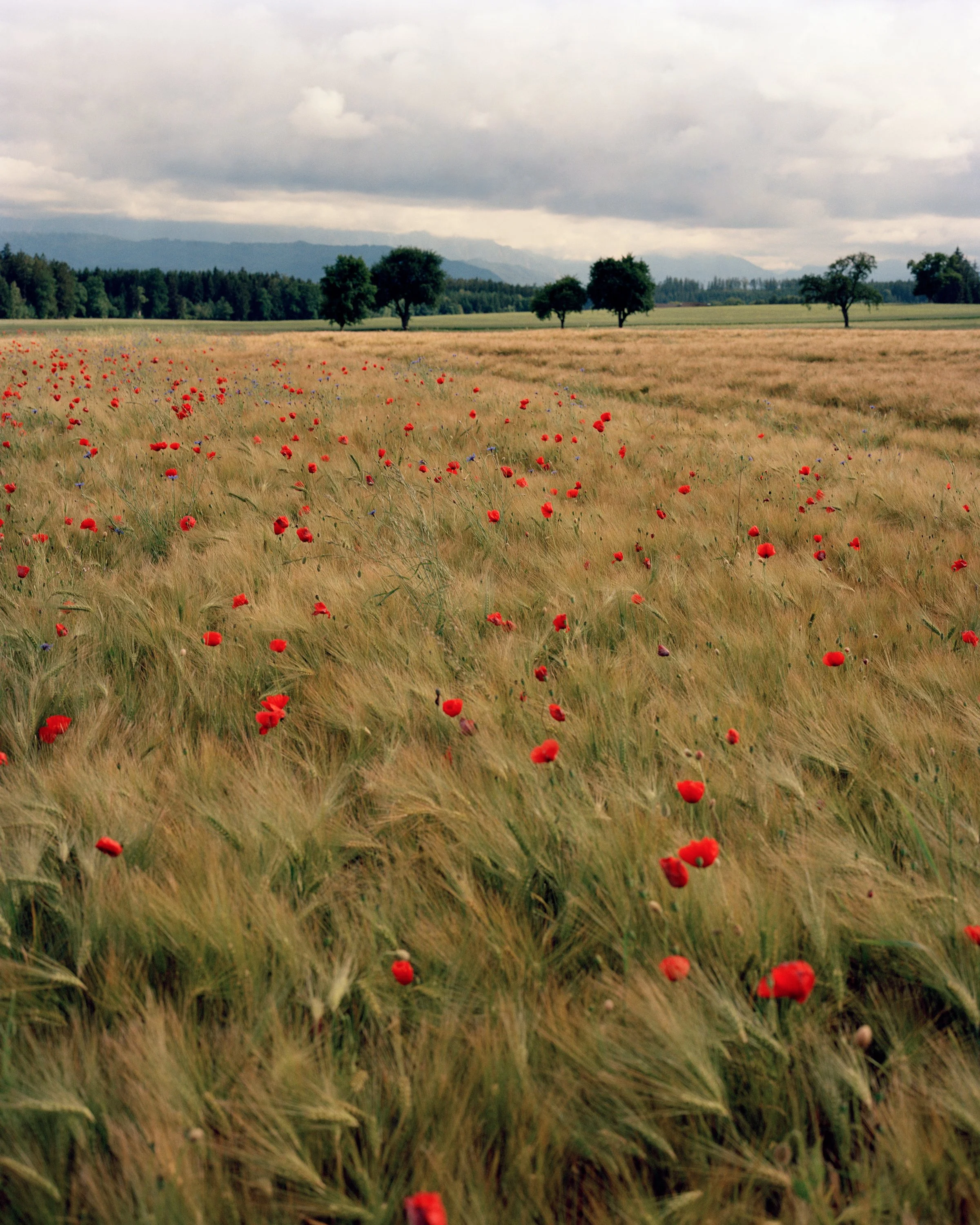 from the series: LAND jugend / LAND youth