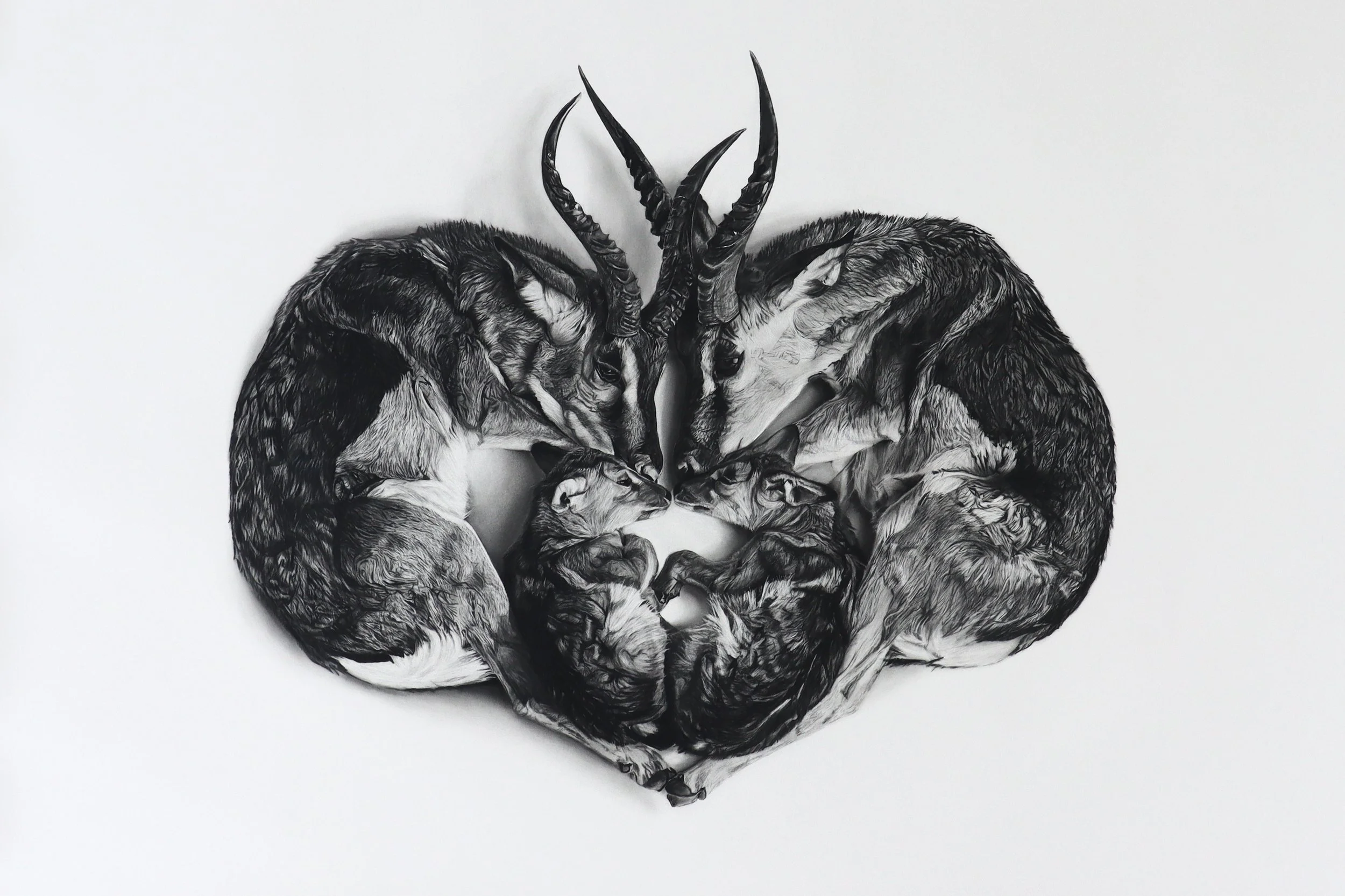 Rob Harris Art Vigil Editions  Art.jpg