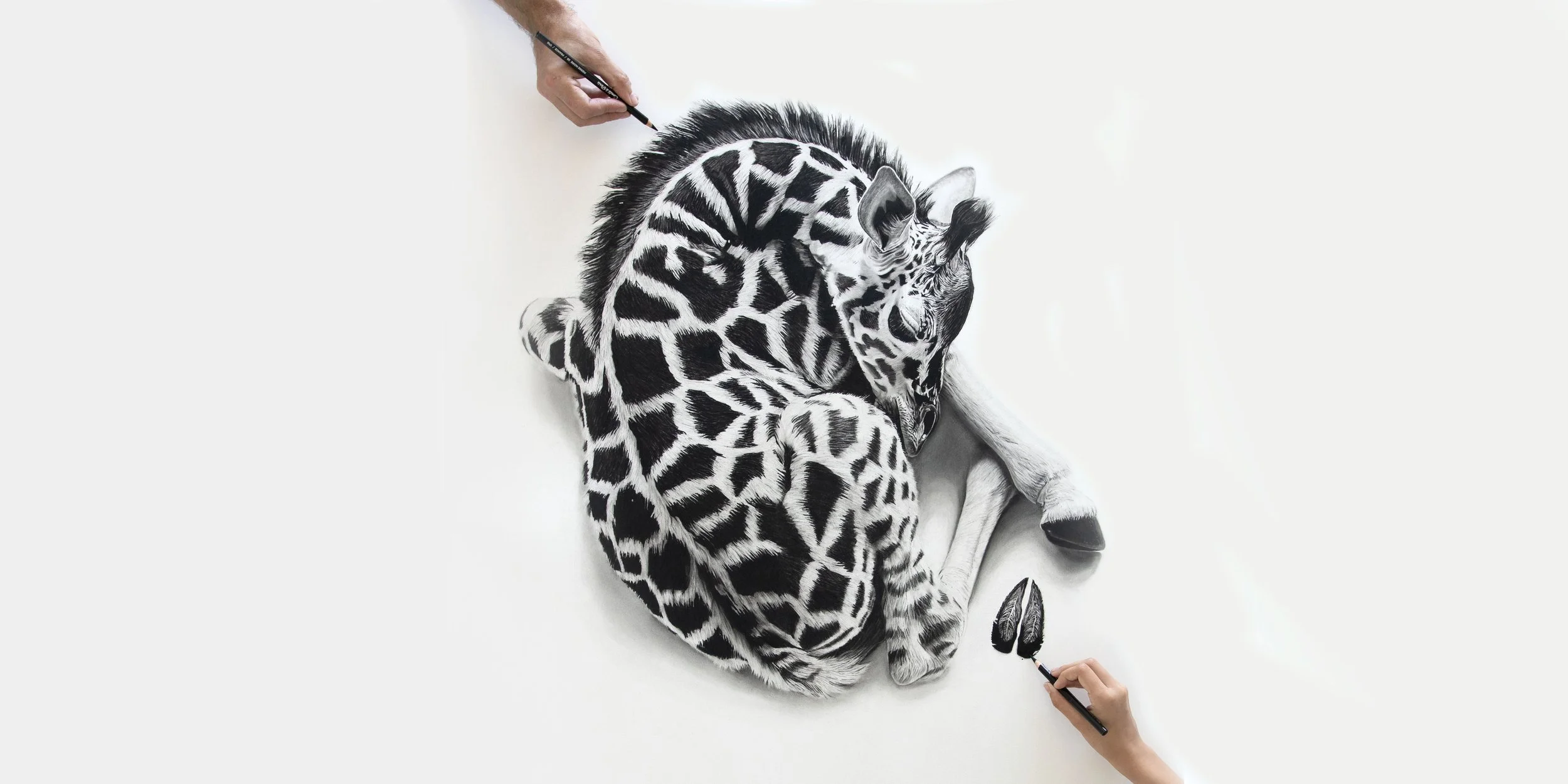 Charcoal in the Spotlight: International Artist Magazine