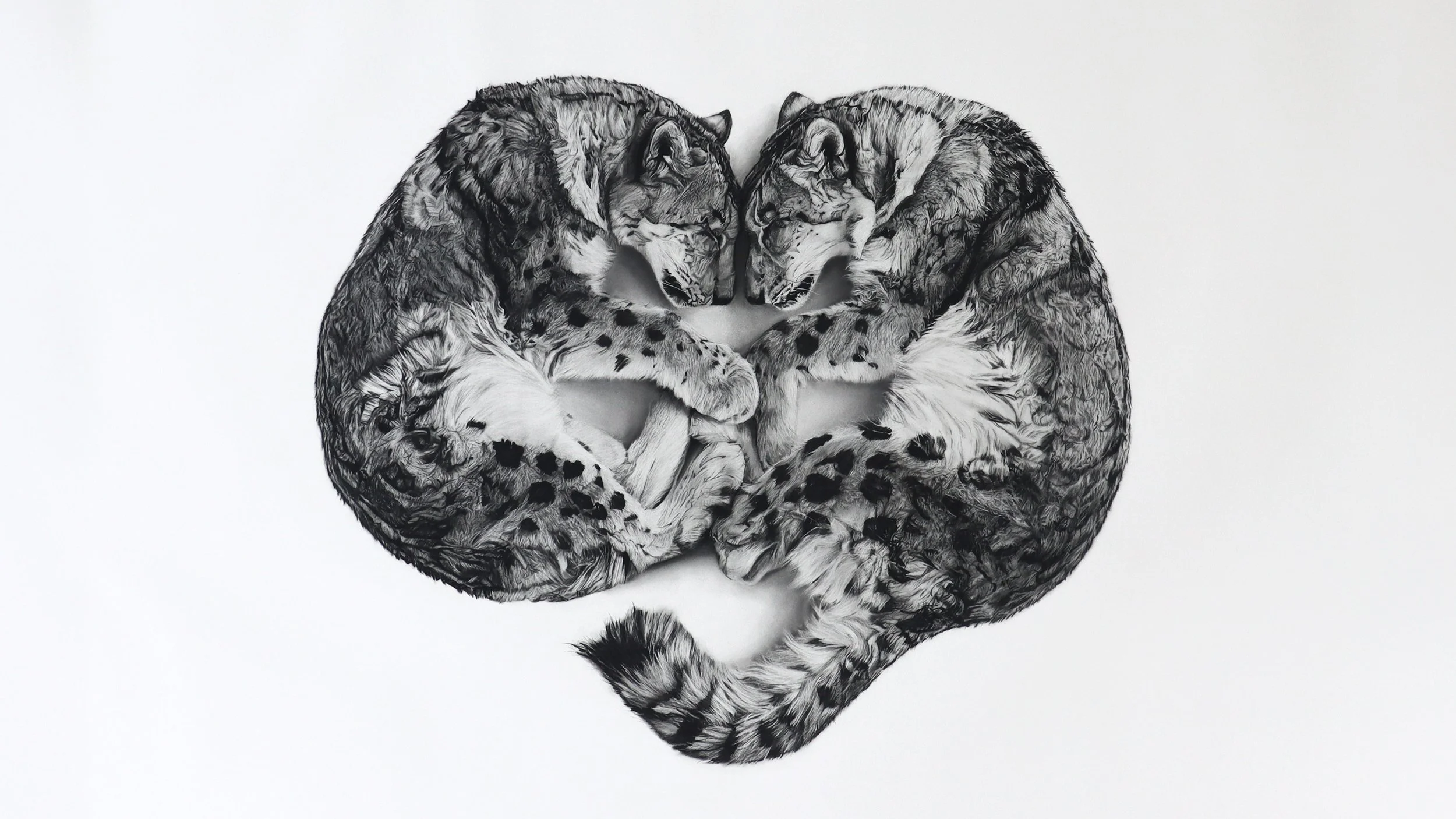 What if the heart was never invented as a symbol?