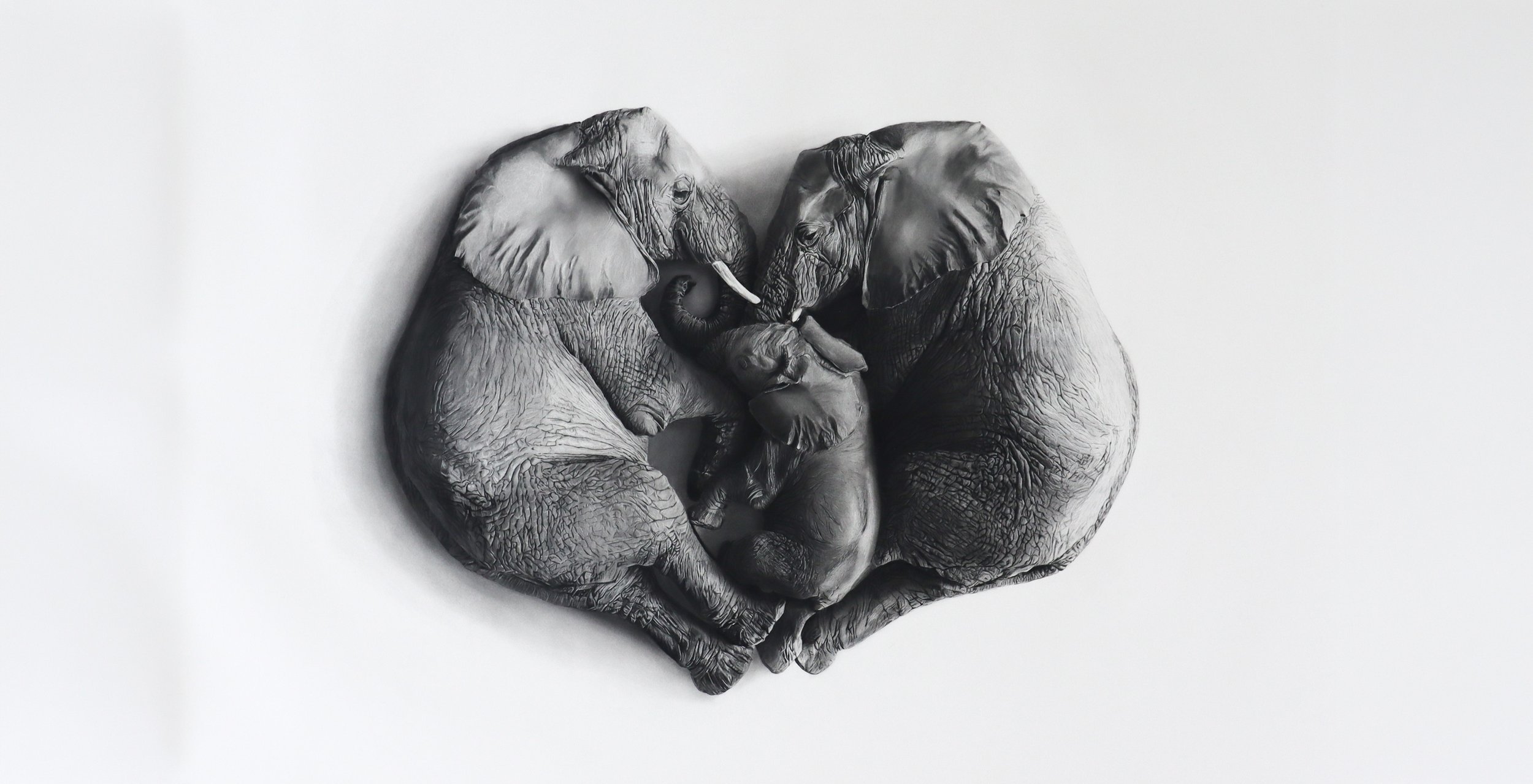 The Heart in a Digital World