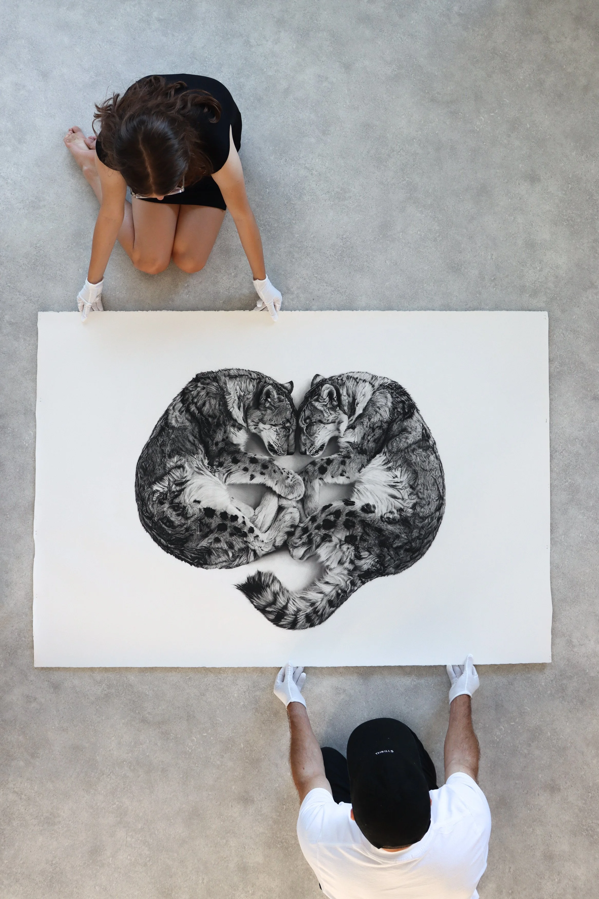 Ghosts charcoal artwork by Rob Harris shown at museum scale