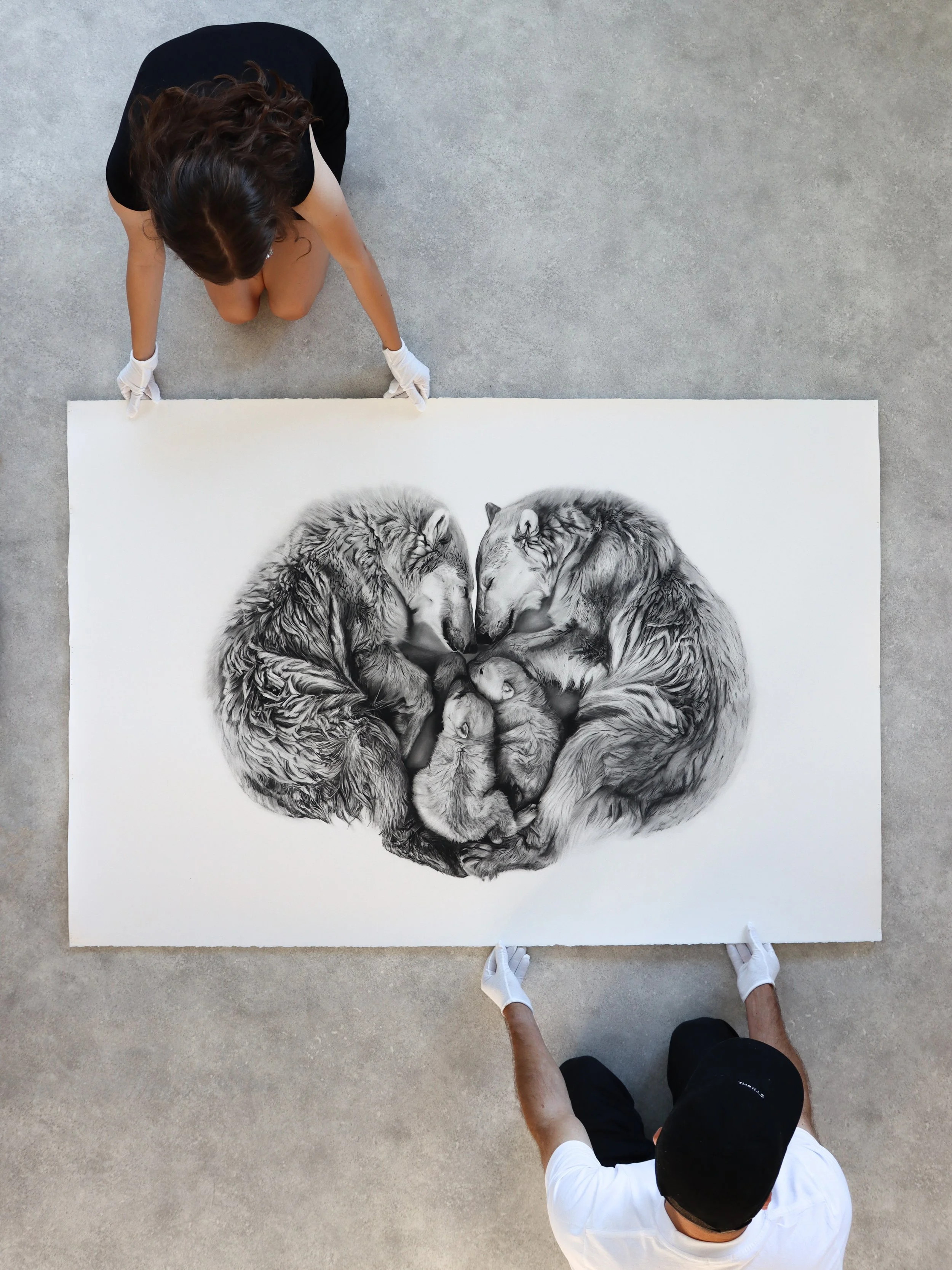 Refuge charcoal artwork by Rob Harris shown at museum scale