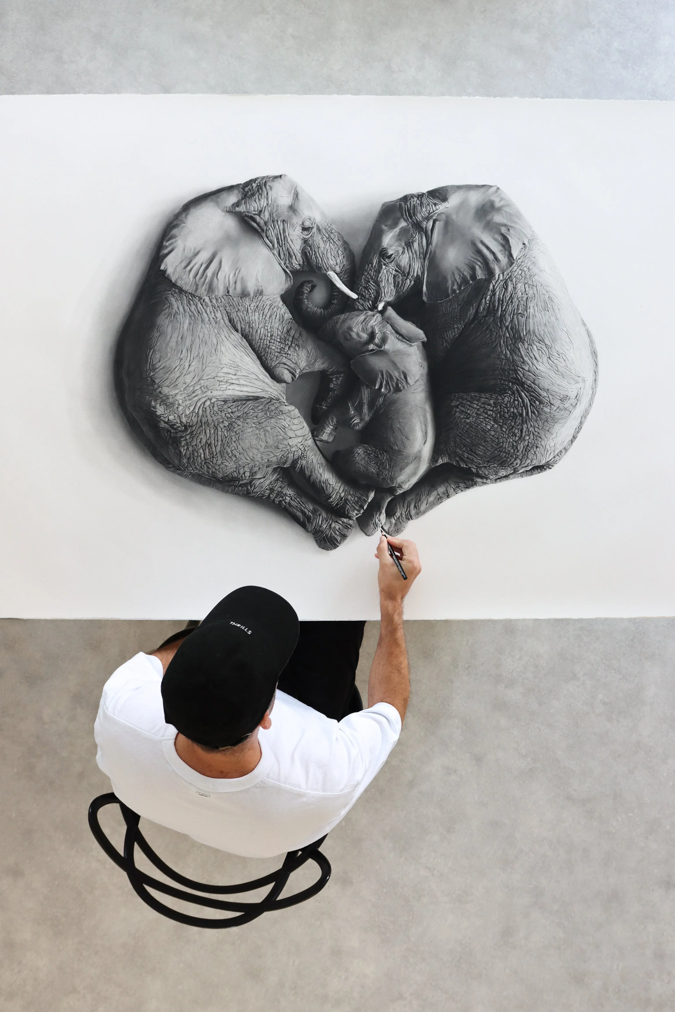 Elephant family drawn by Rob Harris Art