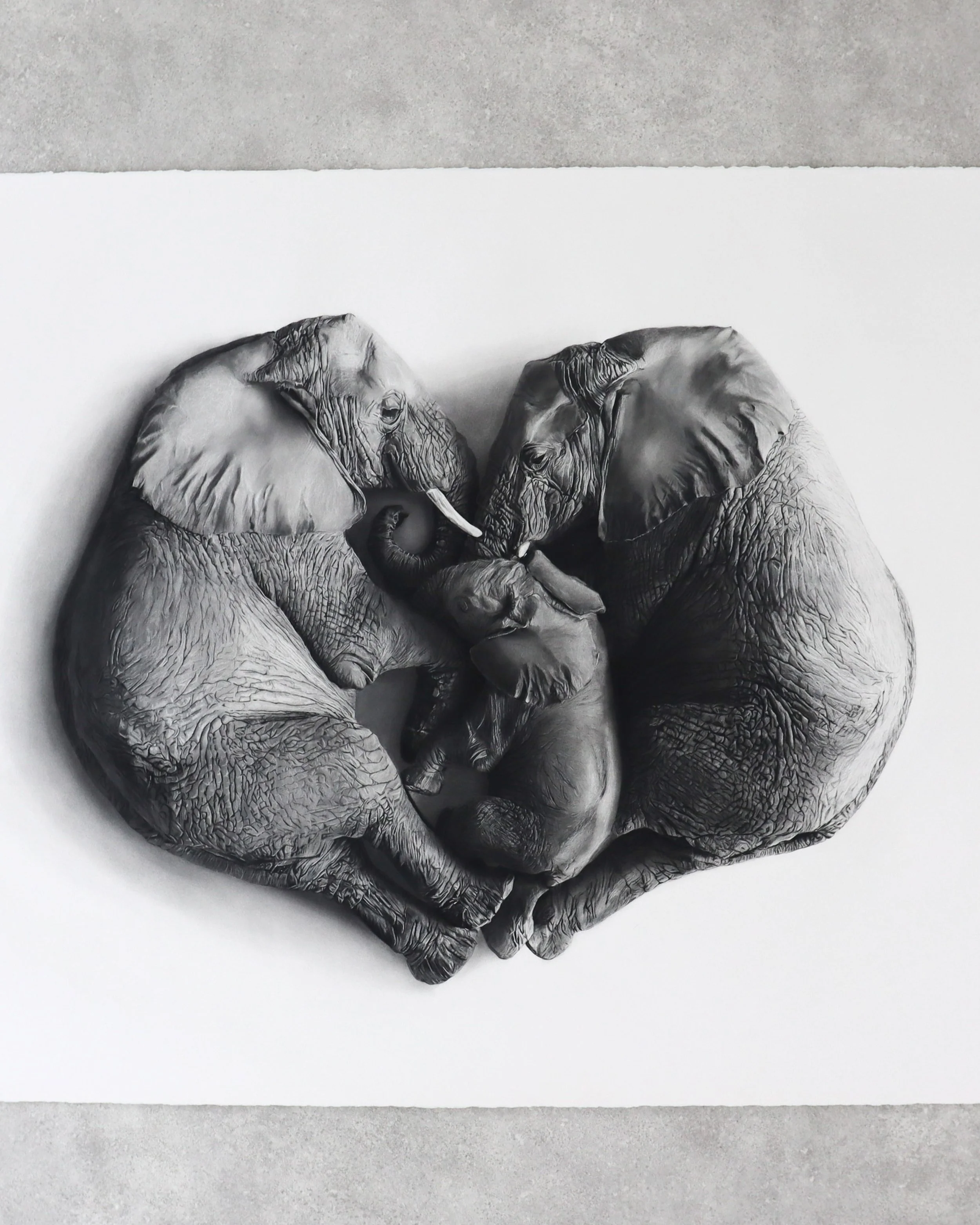 Rob-Harris-Art-Elephant