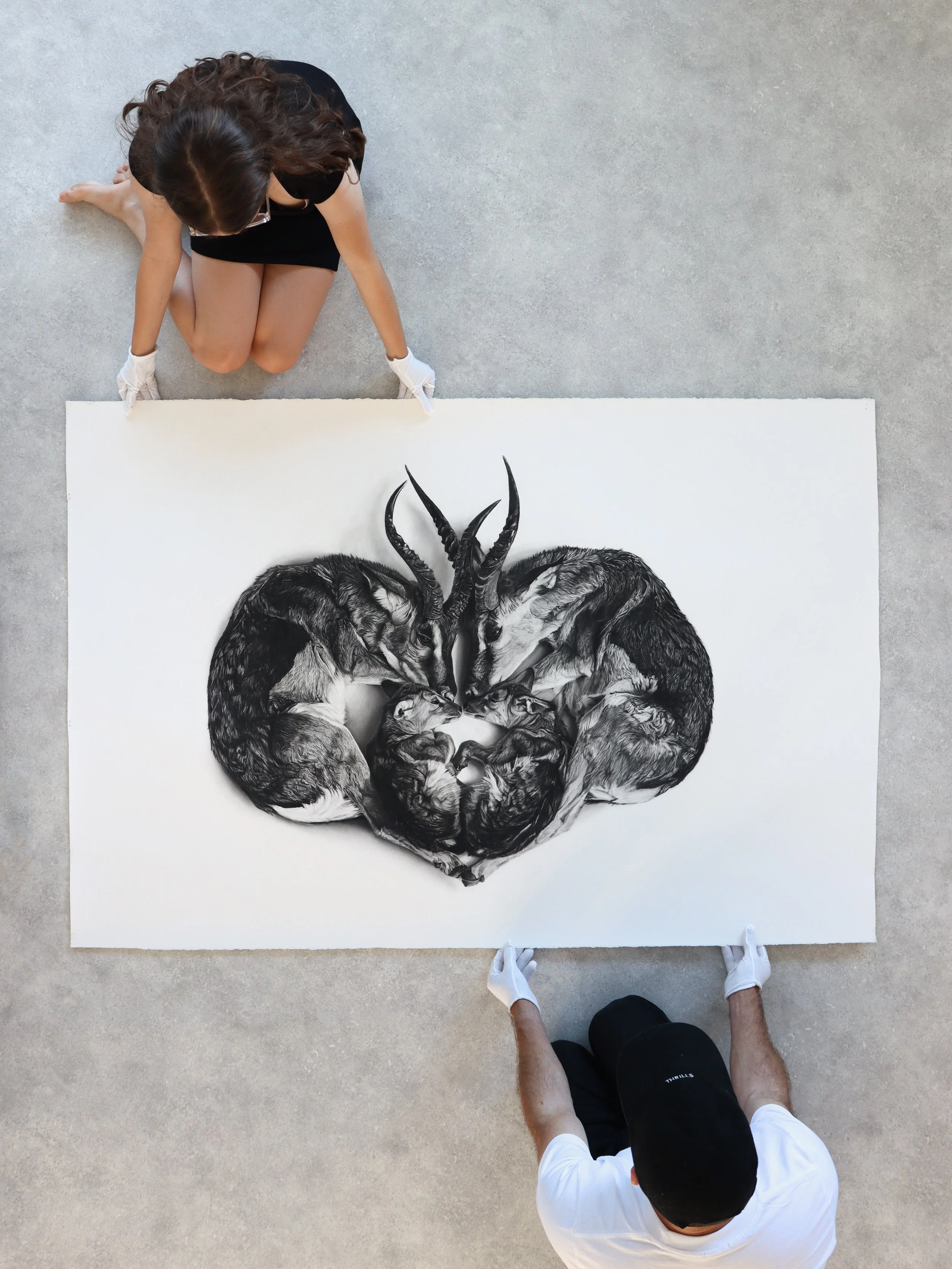 Vigil charcoal artwork by Rob Harris shown at museum scale