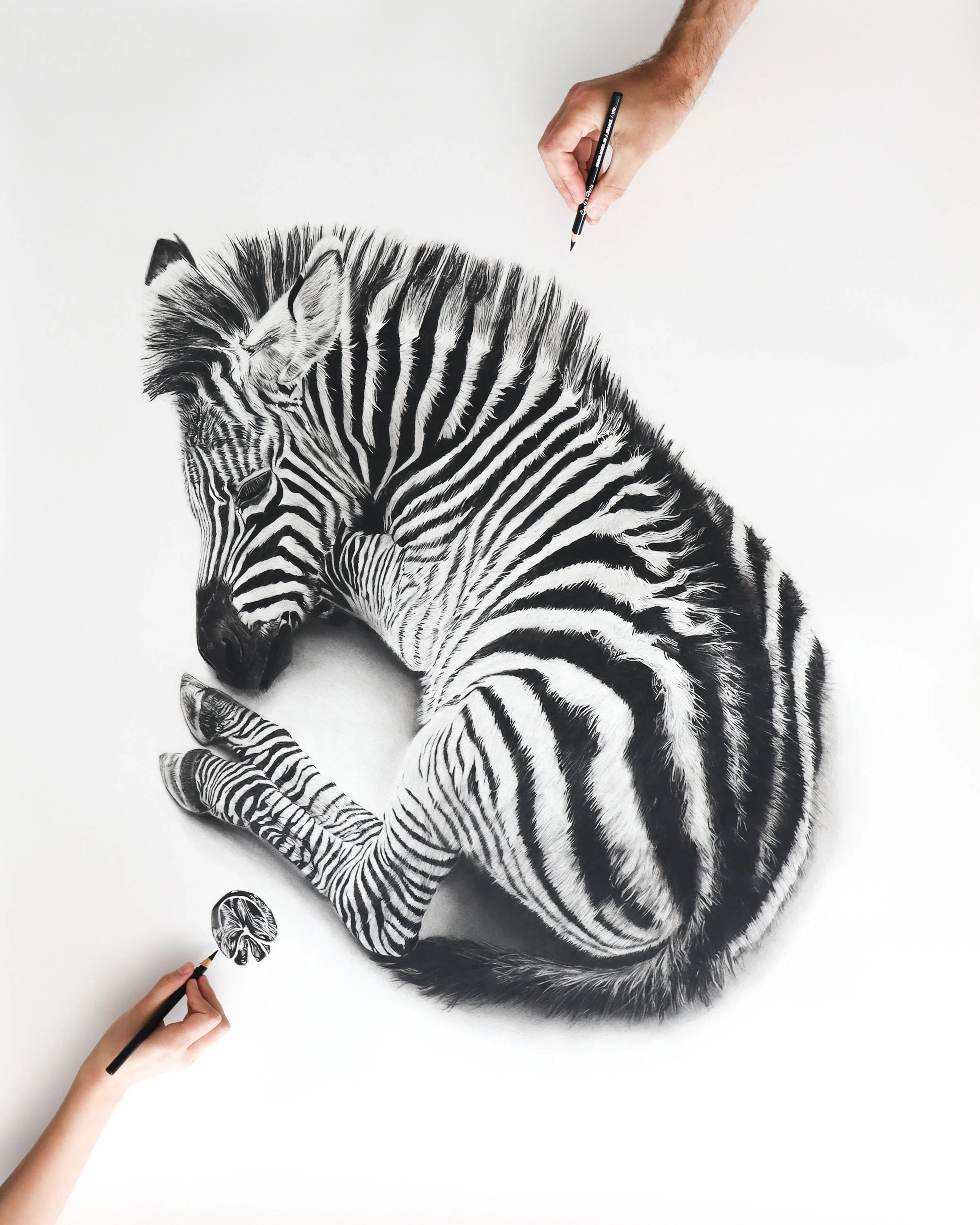 Zebra Original  (In Private Collection)