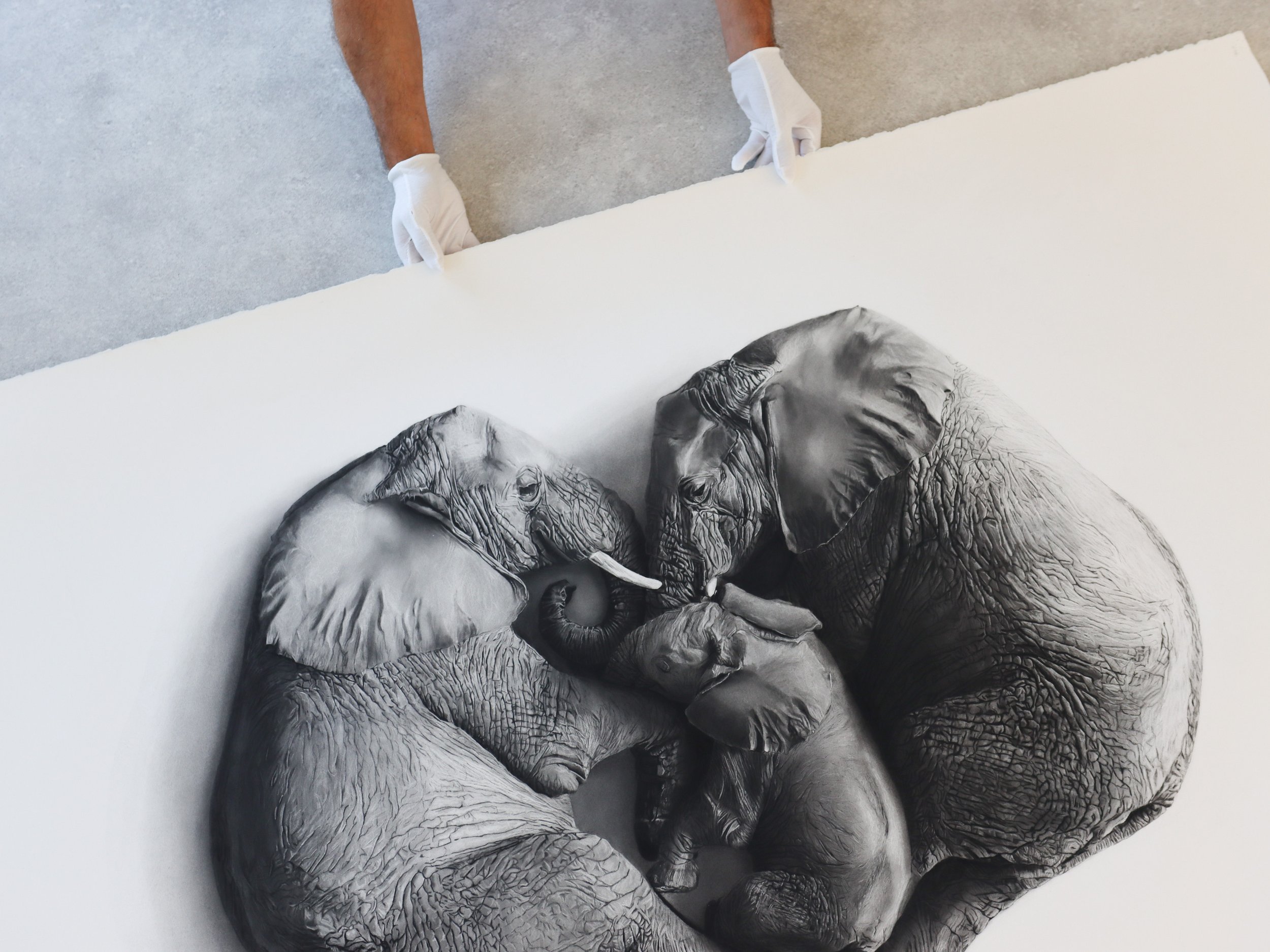 Original Lineage charcoal artwork by Rob Harris and Georgia Harris