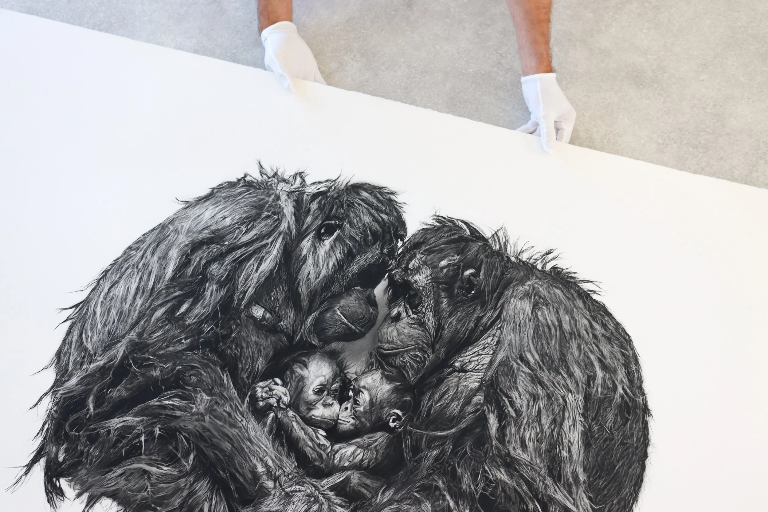 Original Within charcoal artwork by Rob Harris and Georgia Harris