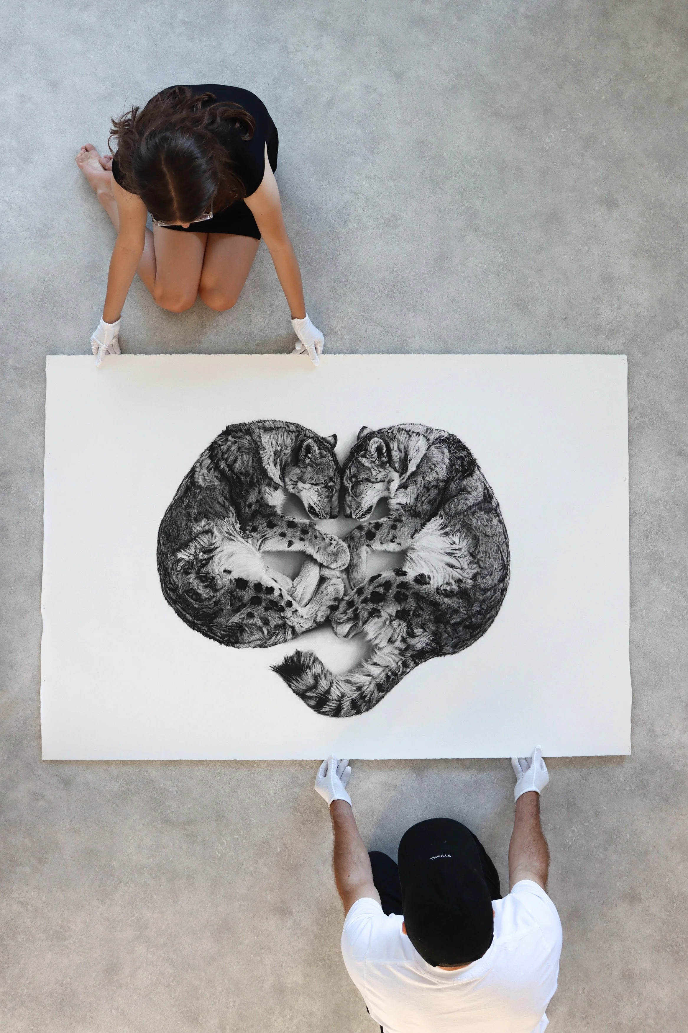 Wild Hearts charcoal artwork by Rob Harris shown at museum scale